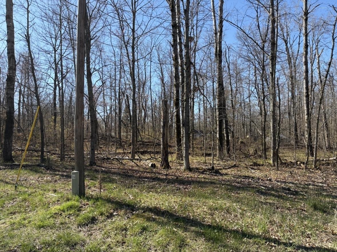 Lot 183-186 Shadowbrook Drive Property Photo 3