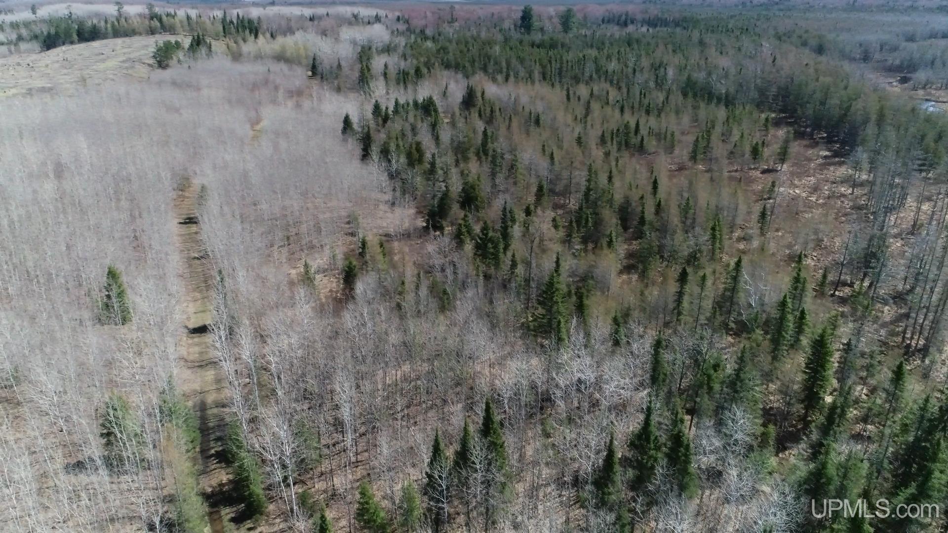 Tbd Murray 25 Road Property Photo 2
