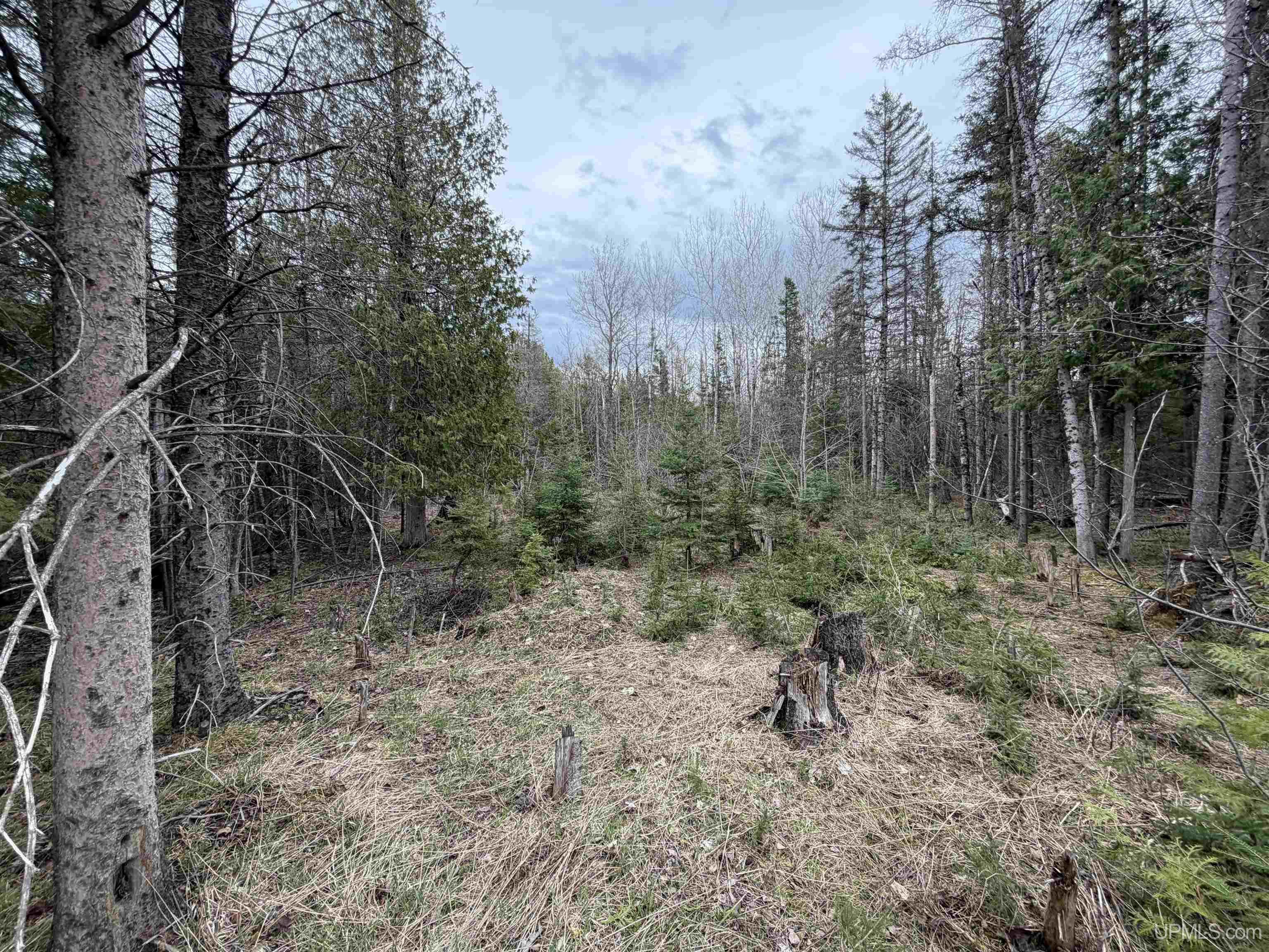 Tbd Old Us 41 Road Property Photo 1