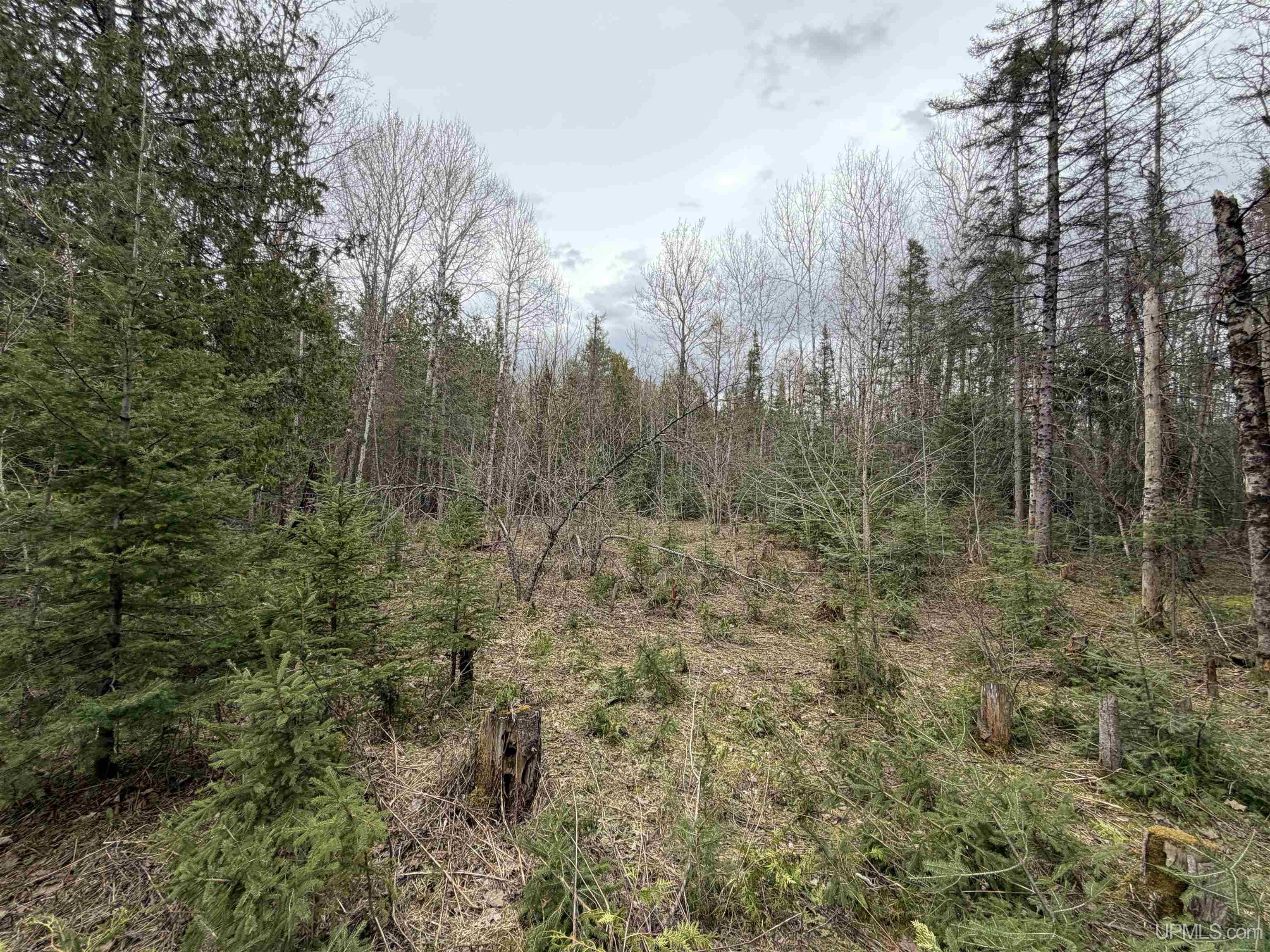 Tbd Old Us 41 Road Property Photo 2