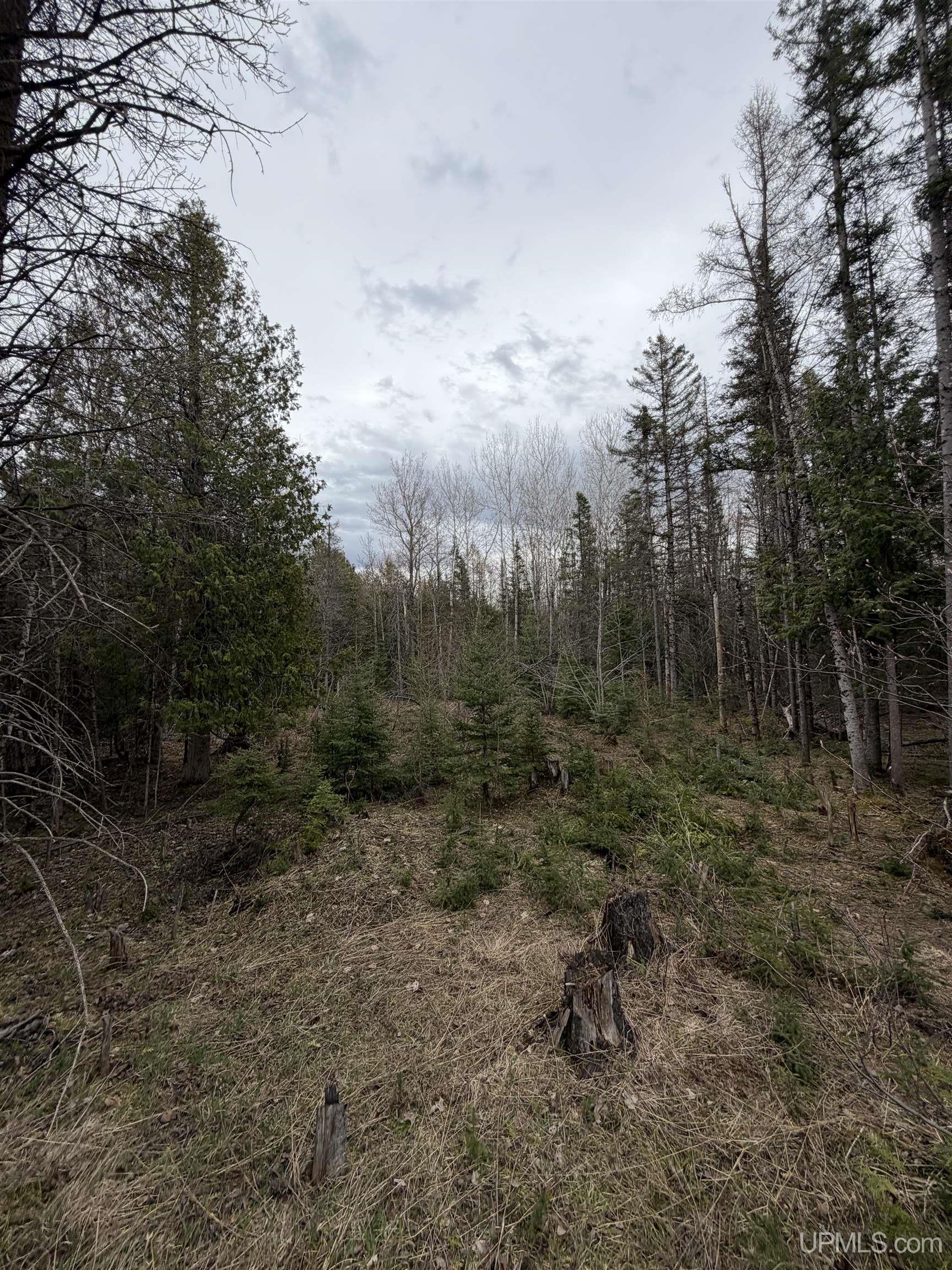 Tbd Old Us 41 Road Property Photo 4