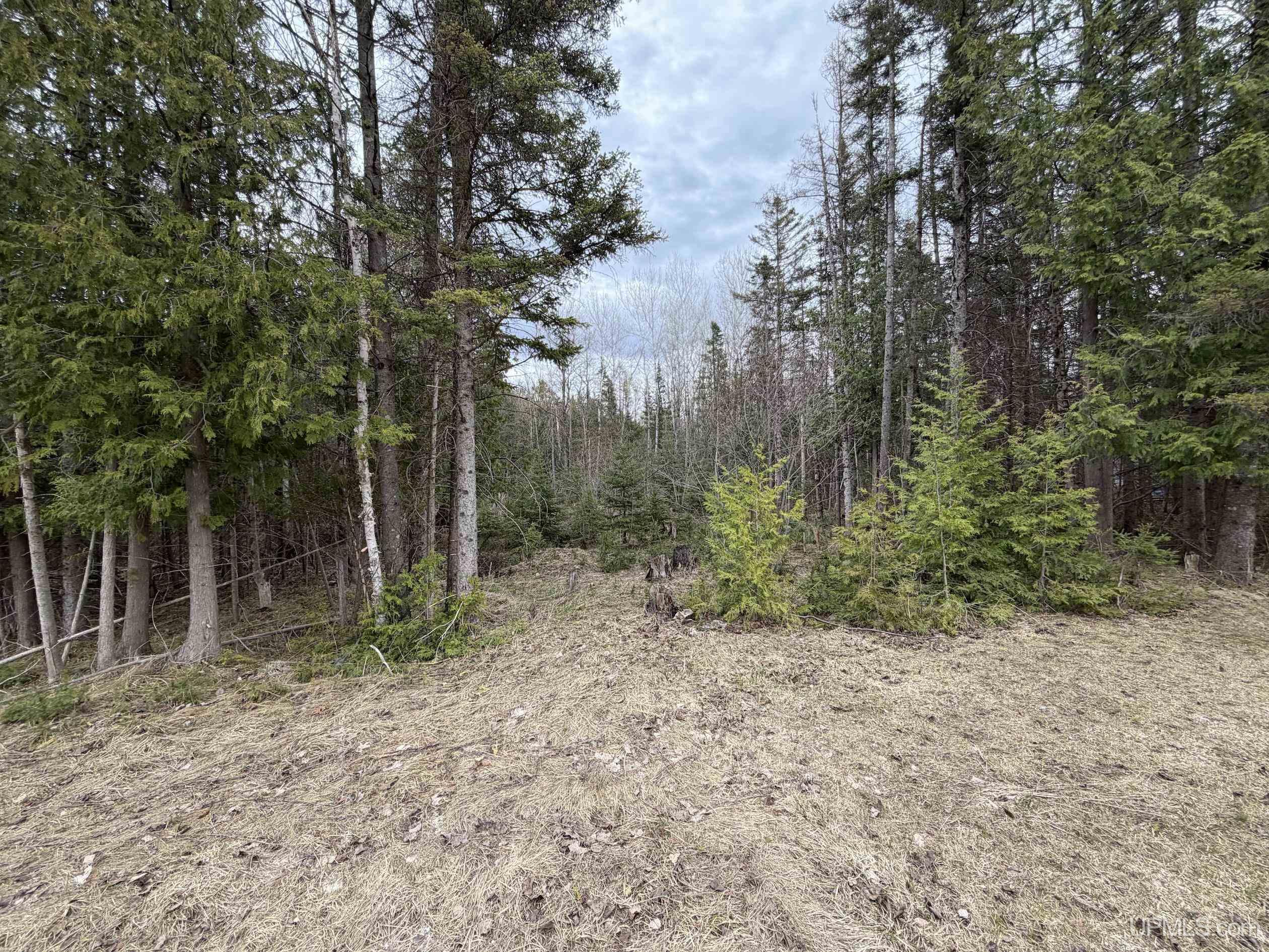 Tbd Old Us 41 Road Property Photo 6