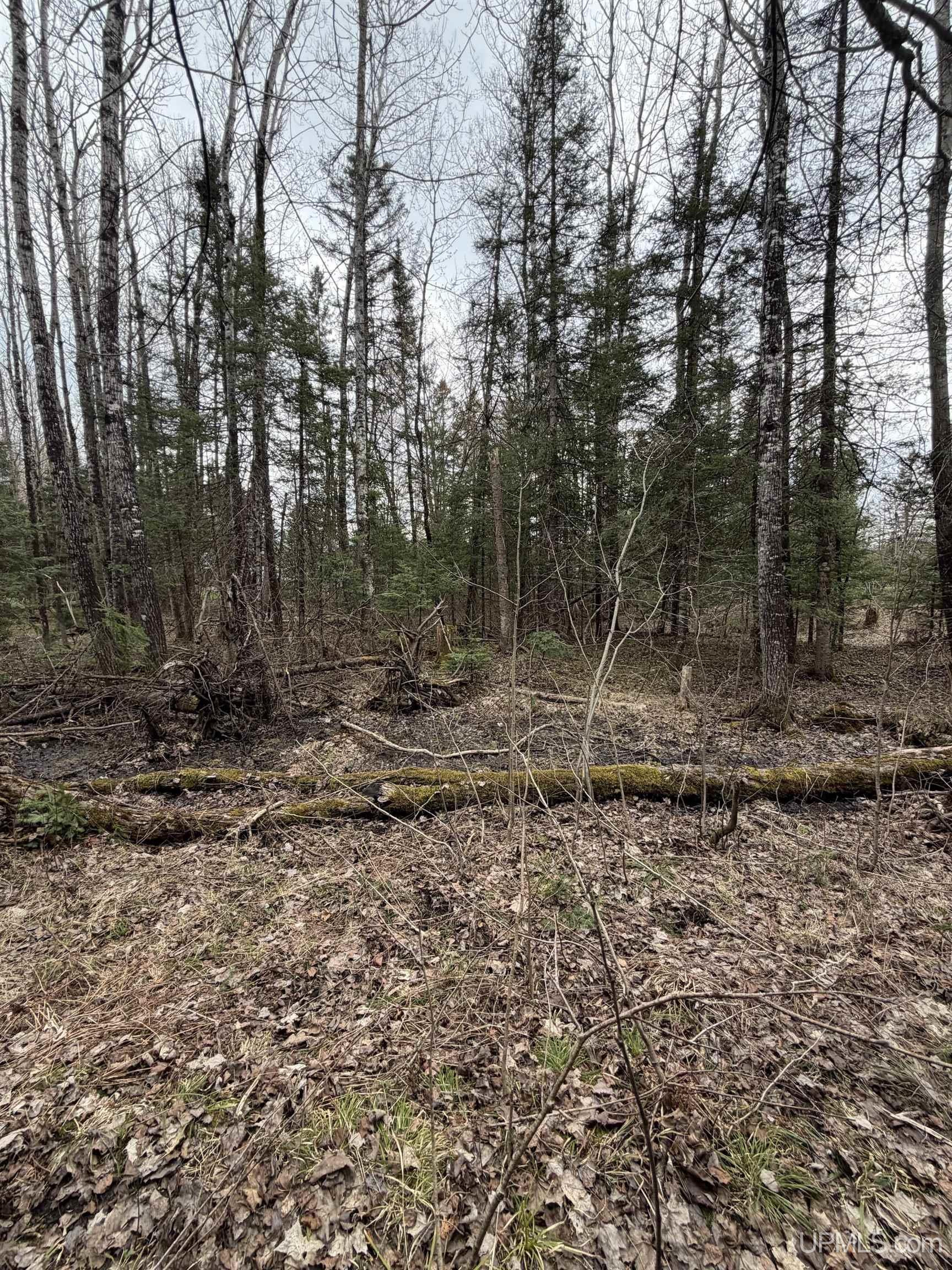 Tbd Old Us 41 Road Property Photo 7