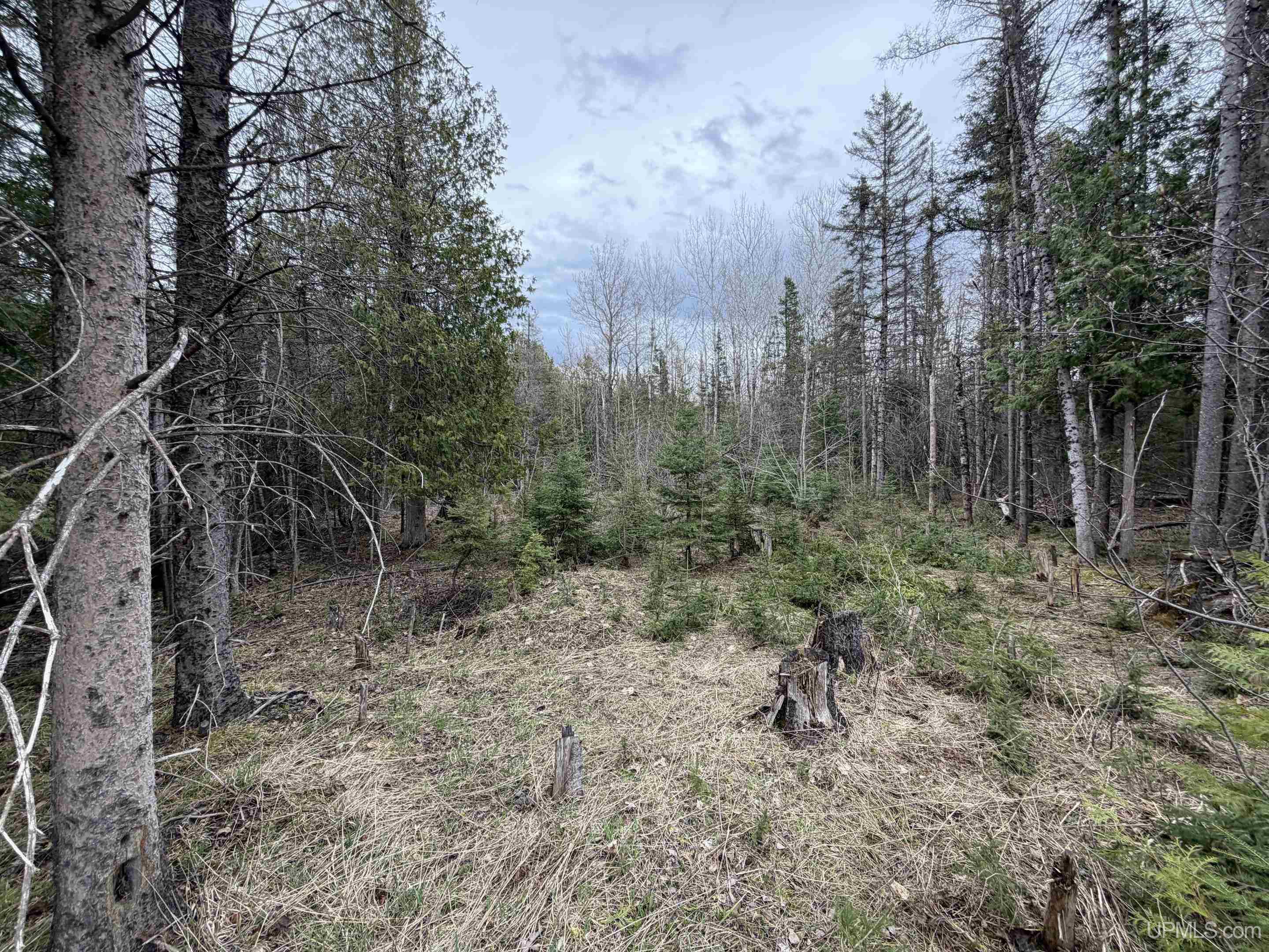 Tbd Old Us 41 Road Property Photo 8