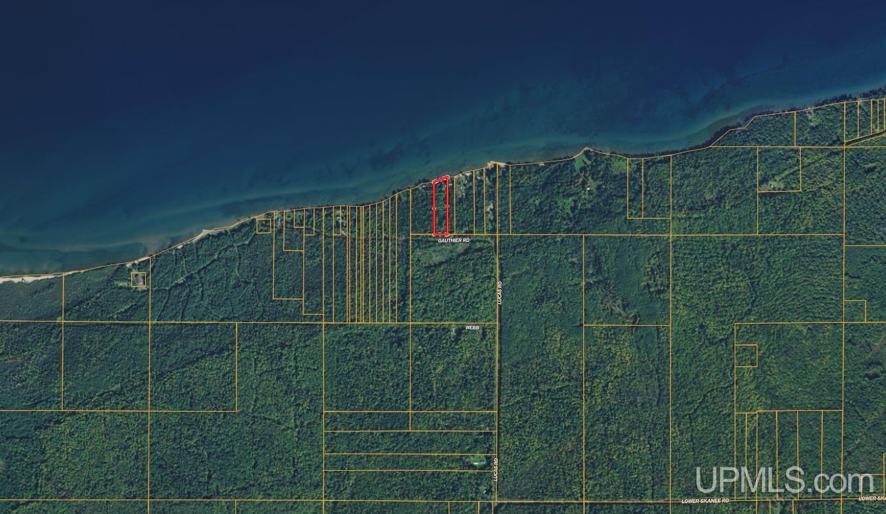 12083 Driftwood Drive Property Photo 13