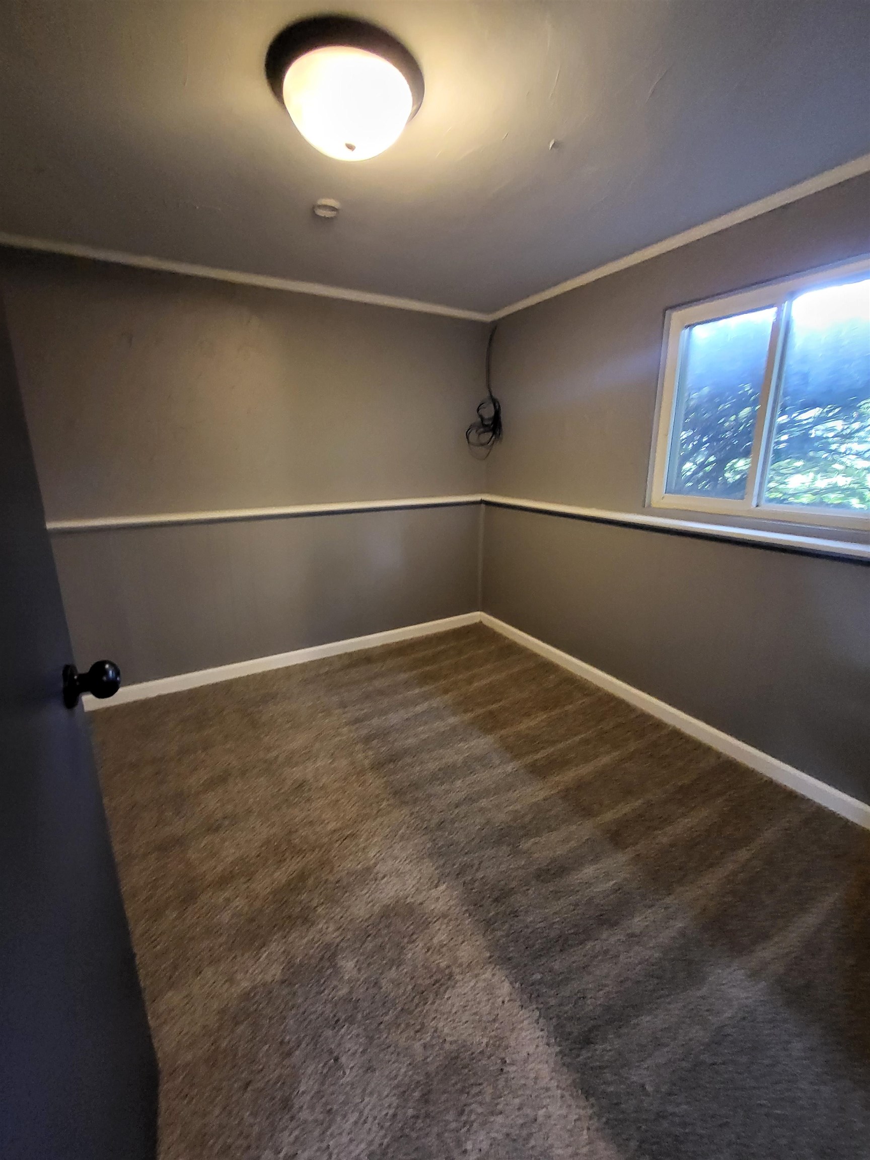 537 Clarion Street Property Photo 22
