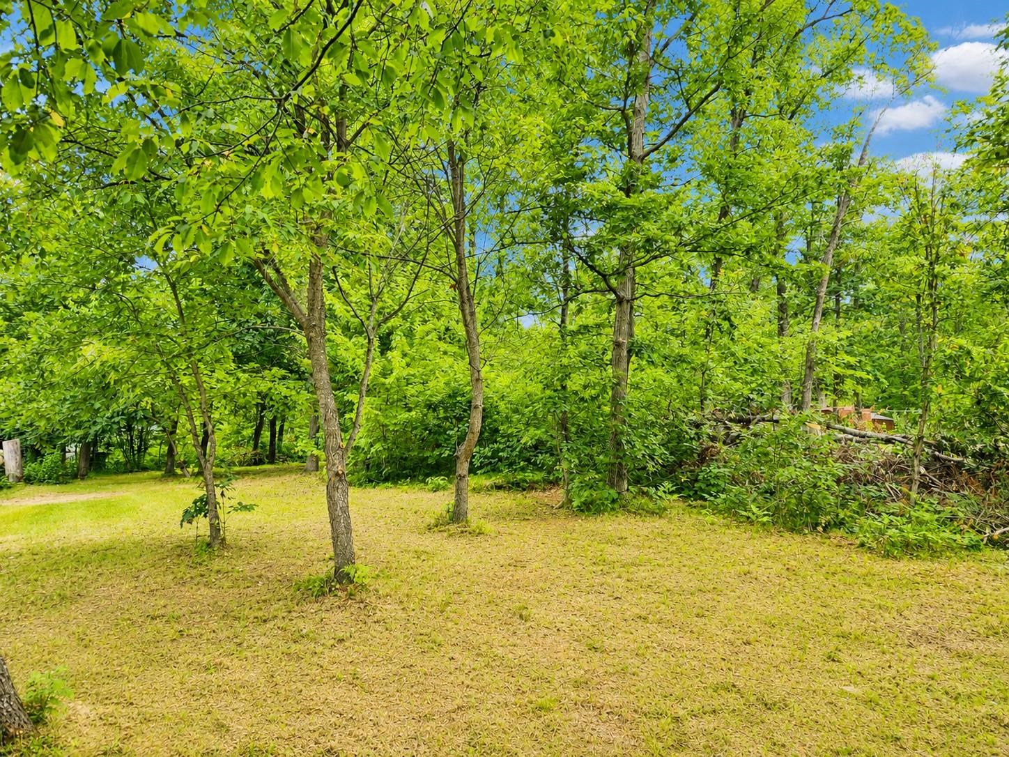 303 N Beverly Drive Property Photo 22