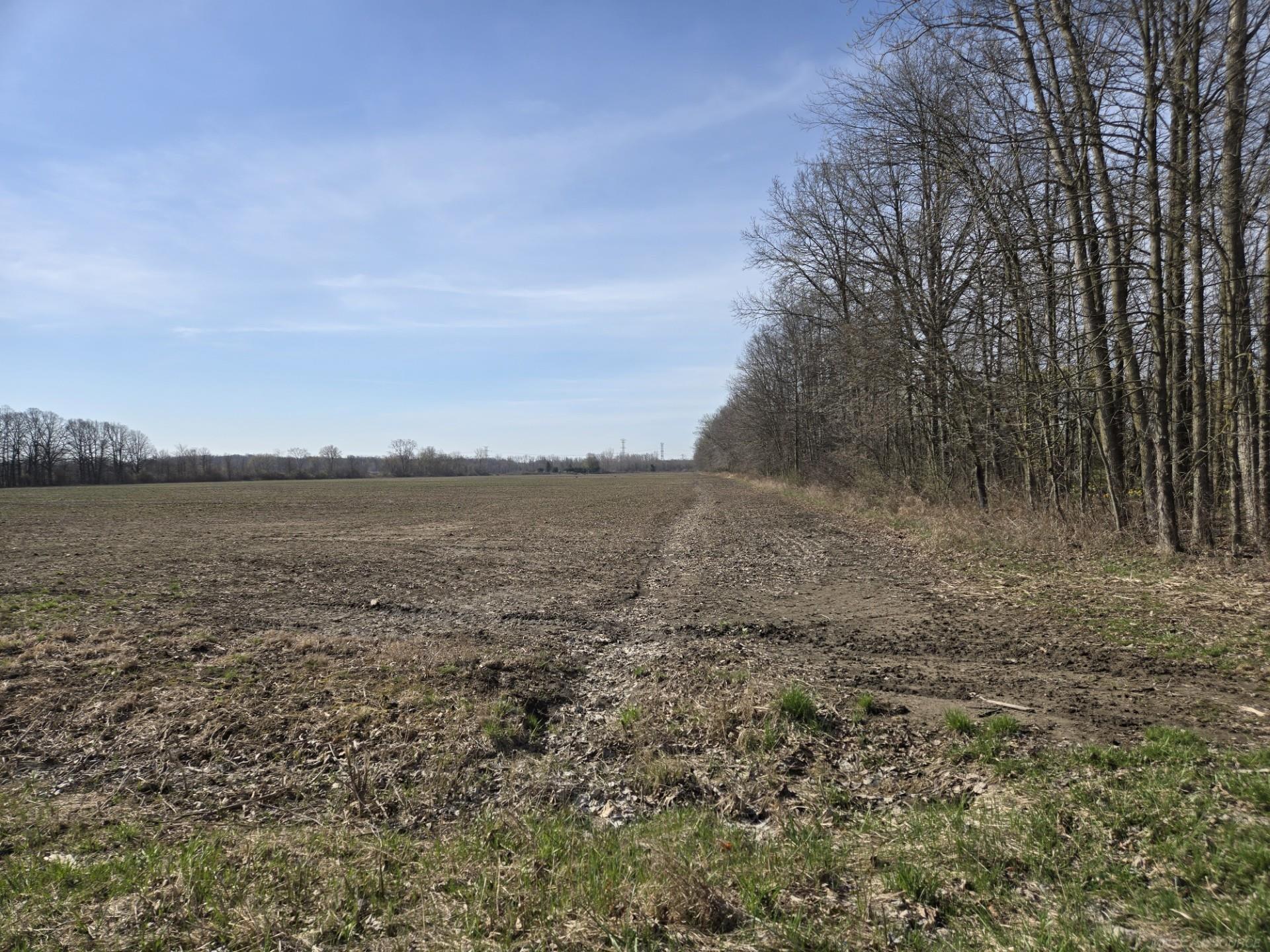 0 Meskill (Lot C) Road Property Photo 1