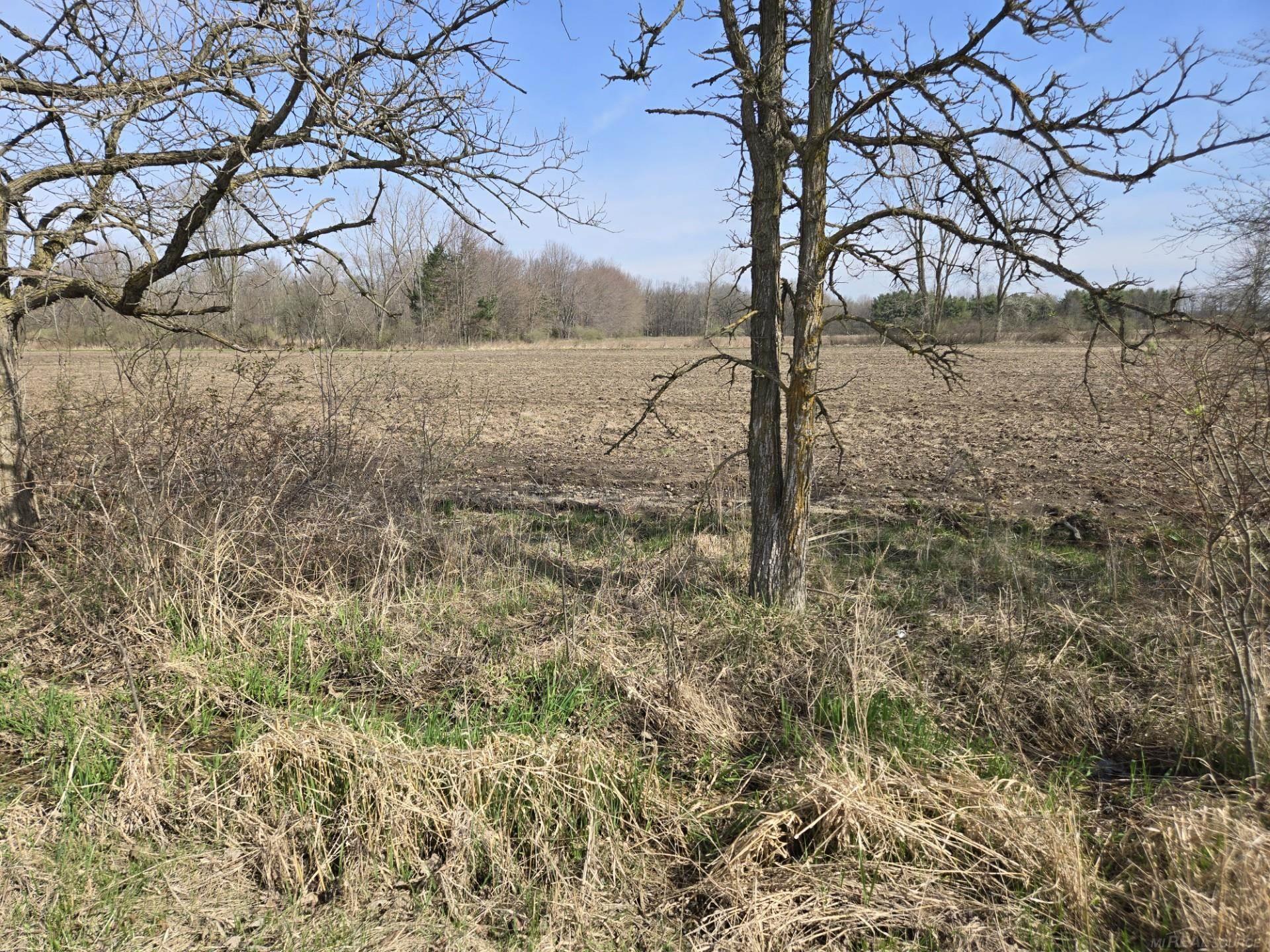 0 Meskill (lot C) Road Property Photo 6