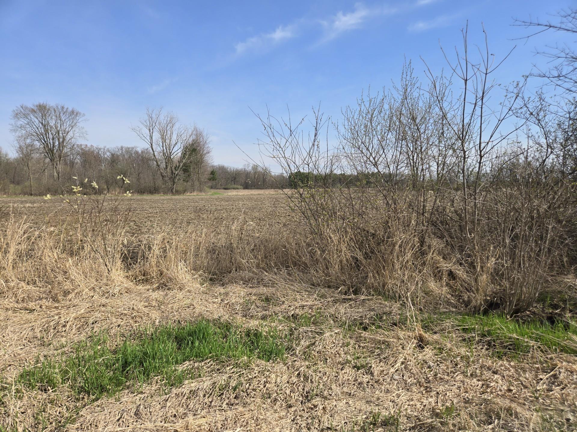 0 Meskill (lot C) Road Property Photo 7