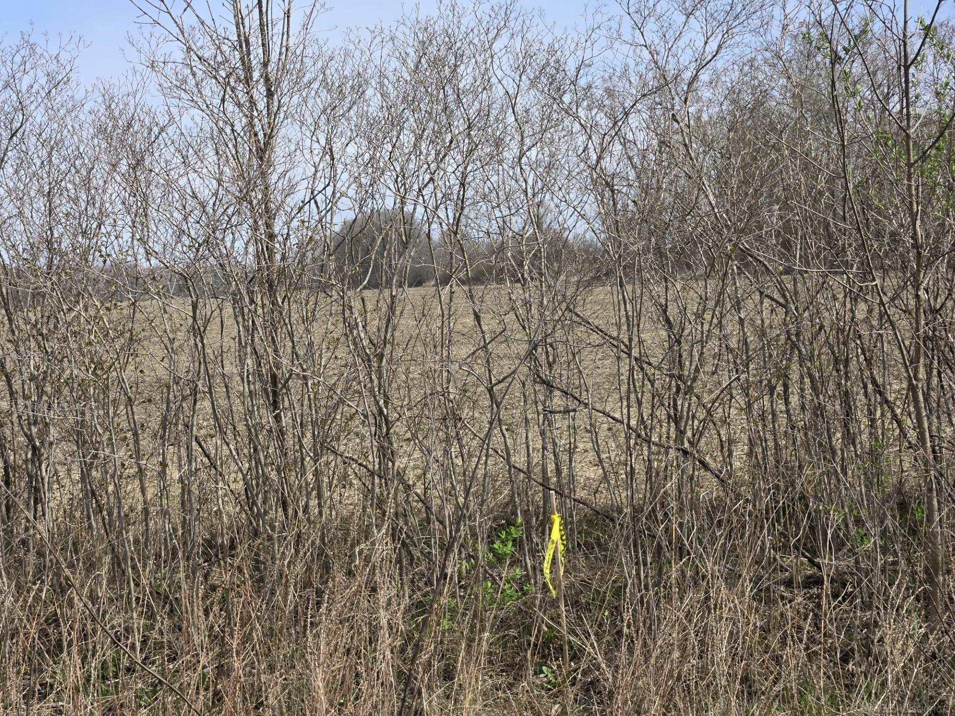 0 Meskill (lot C) Road Property Photo 11