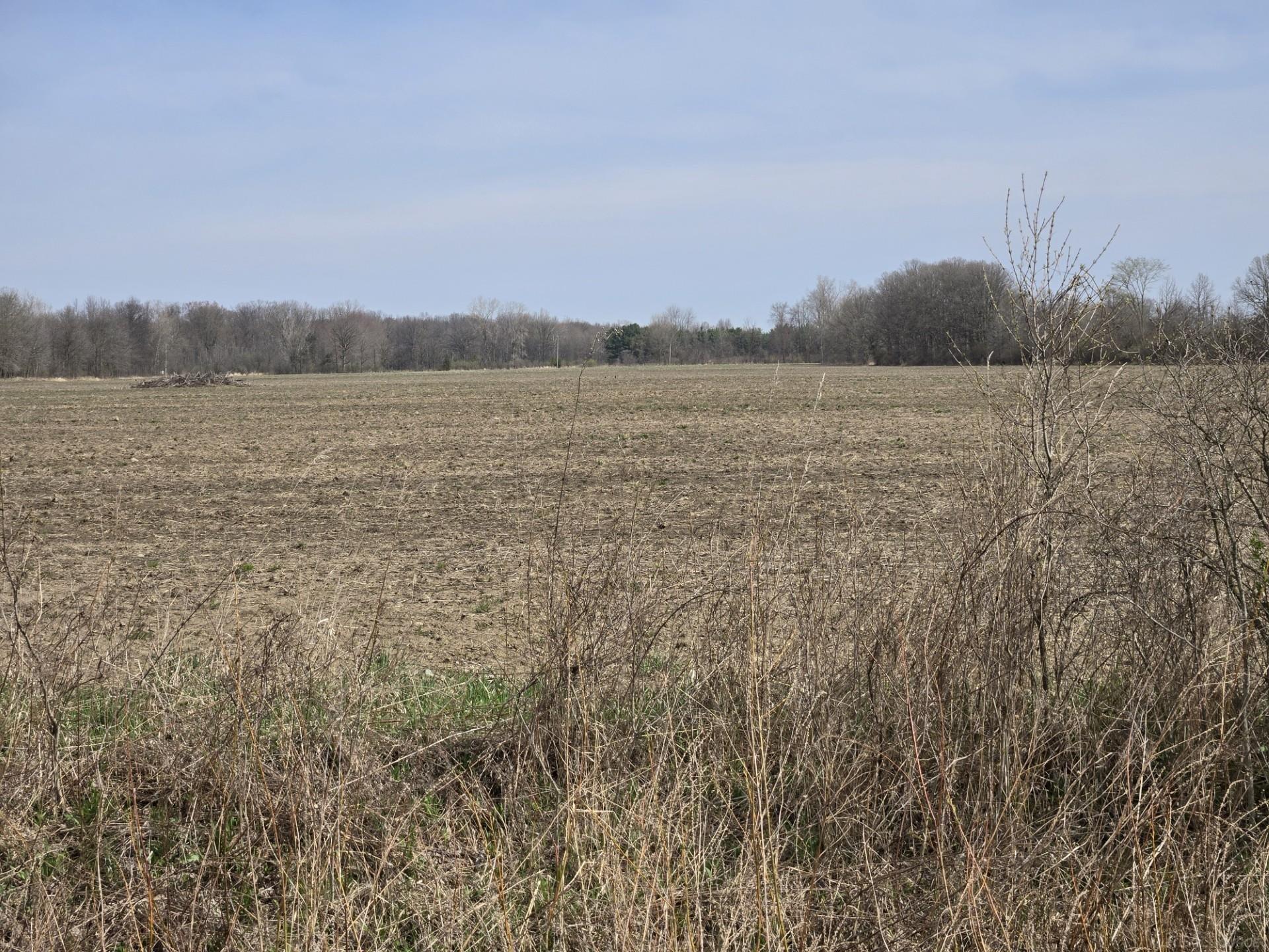 0 Meskill (lot C) Road Property Photo 12