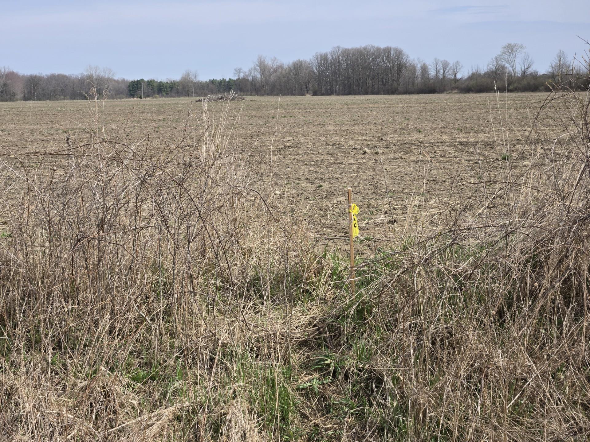 0 Meskill (lot C) Road Property Photo 15