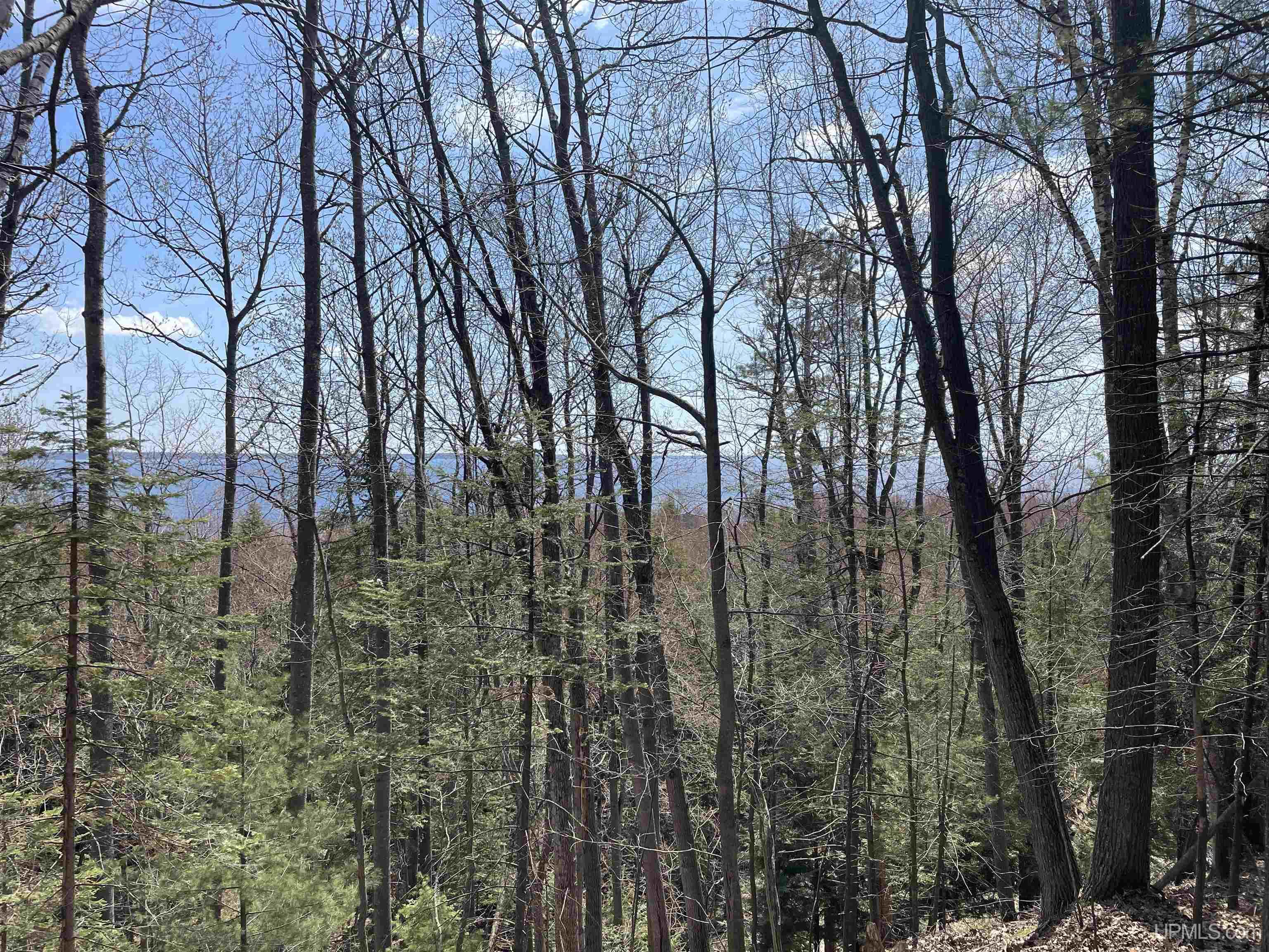 7448 Lake Bluff 19.4 Road Property Photo 1