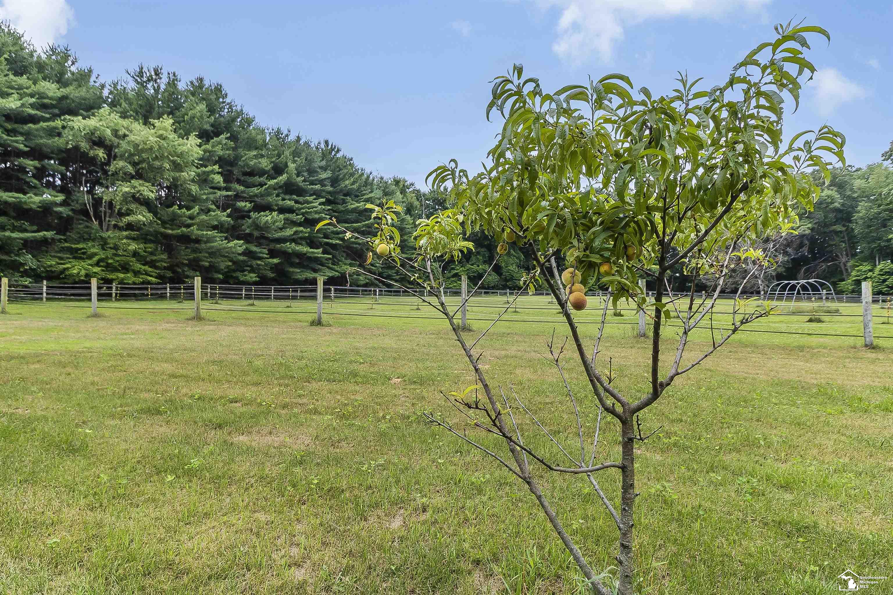 2600 Meanwell Road Property Photo 40