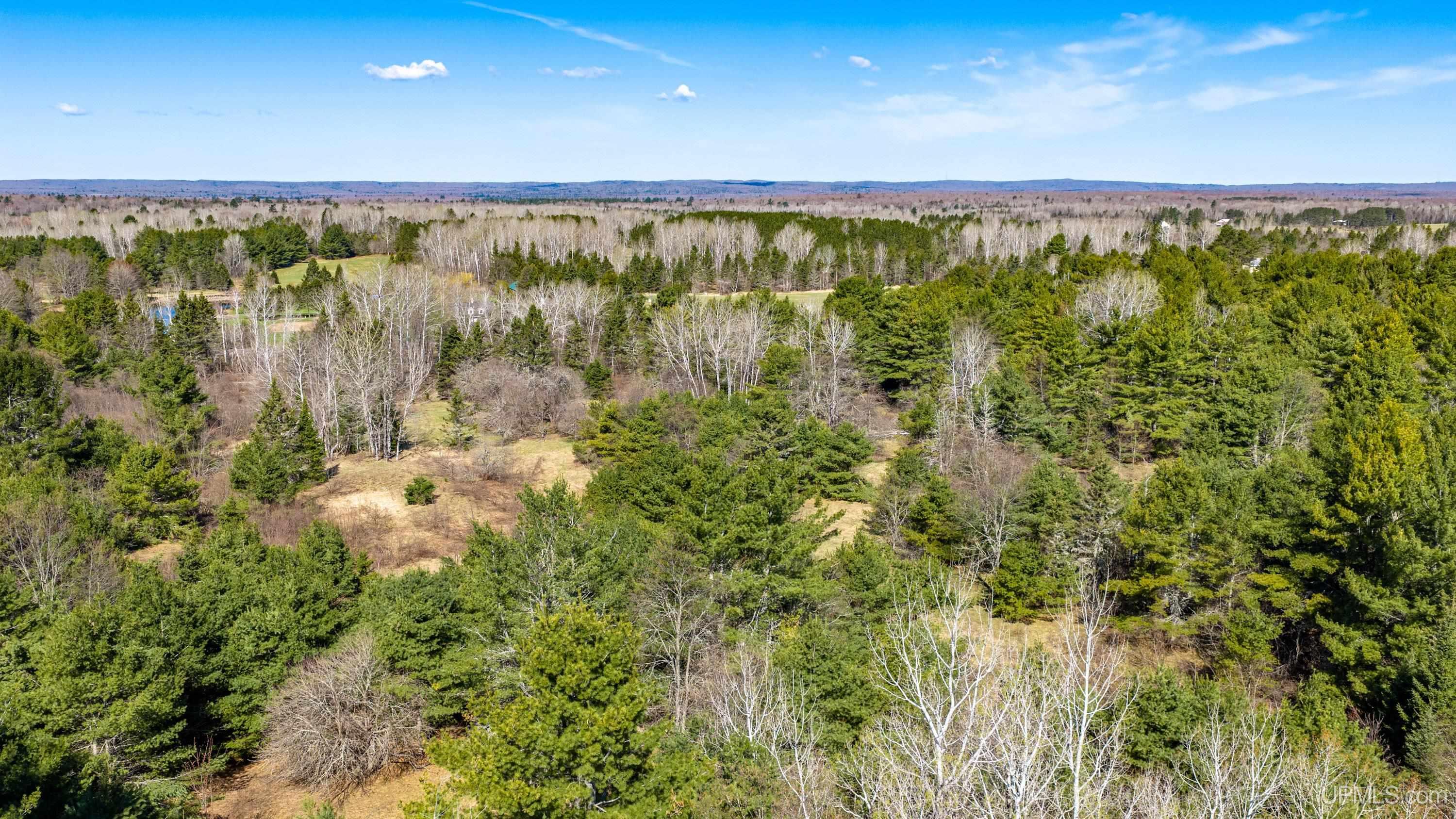 33490 Tapiola Road Property Photo 74
