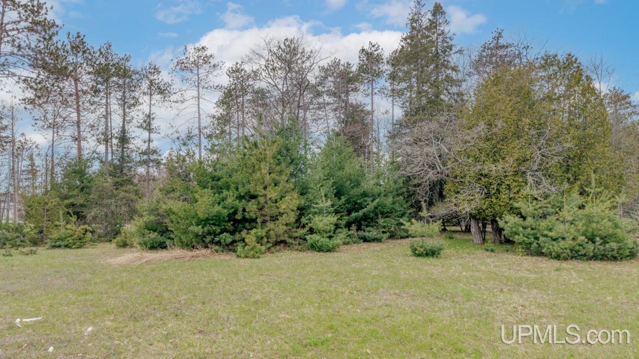 Tbd Us Hwy 2 & 41 Highway Property Photo 6