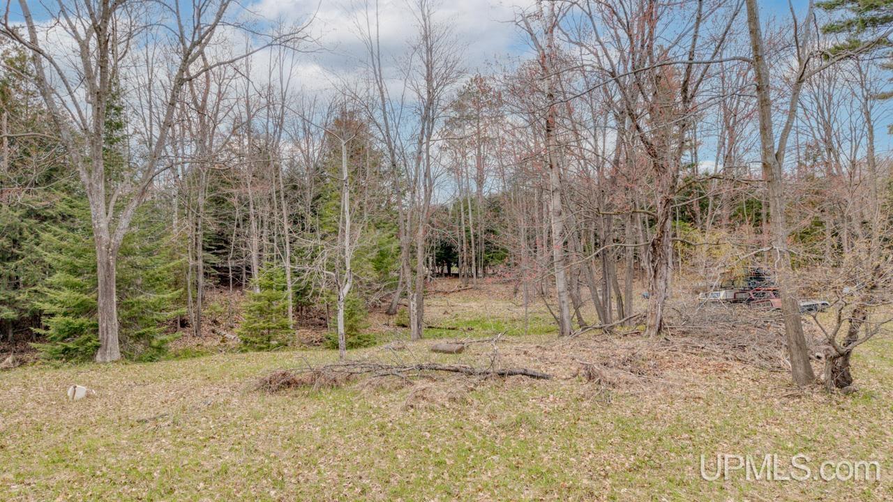 Tbd Us Hwy 2 & 41 Highway Property Photo 7