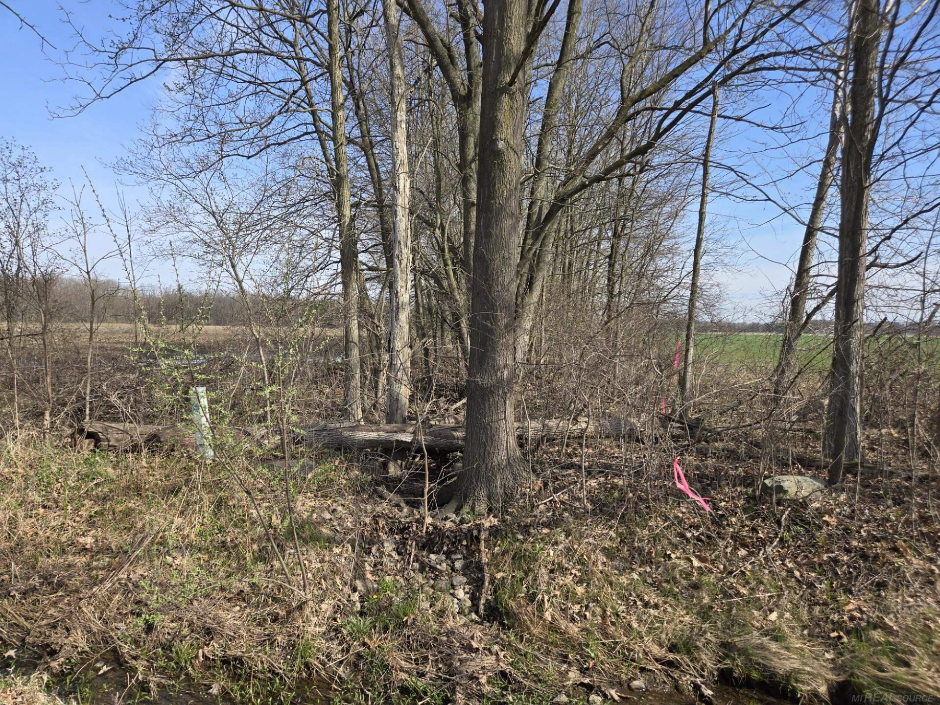 0 Weber (lot A) Road Property Photo 4