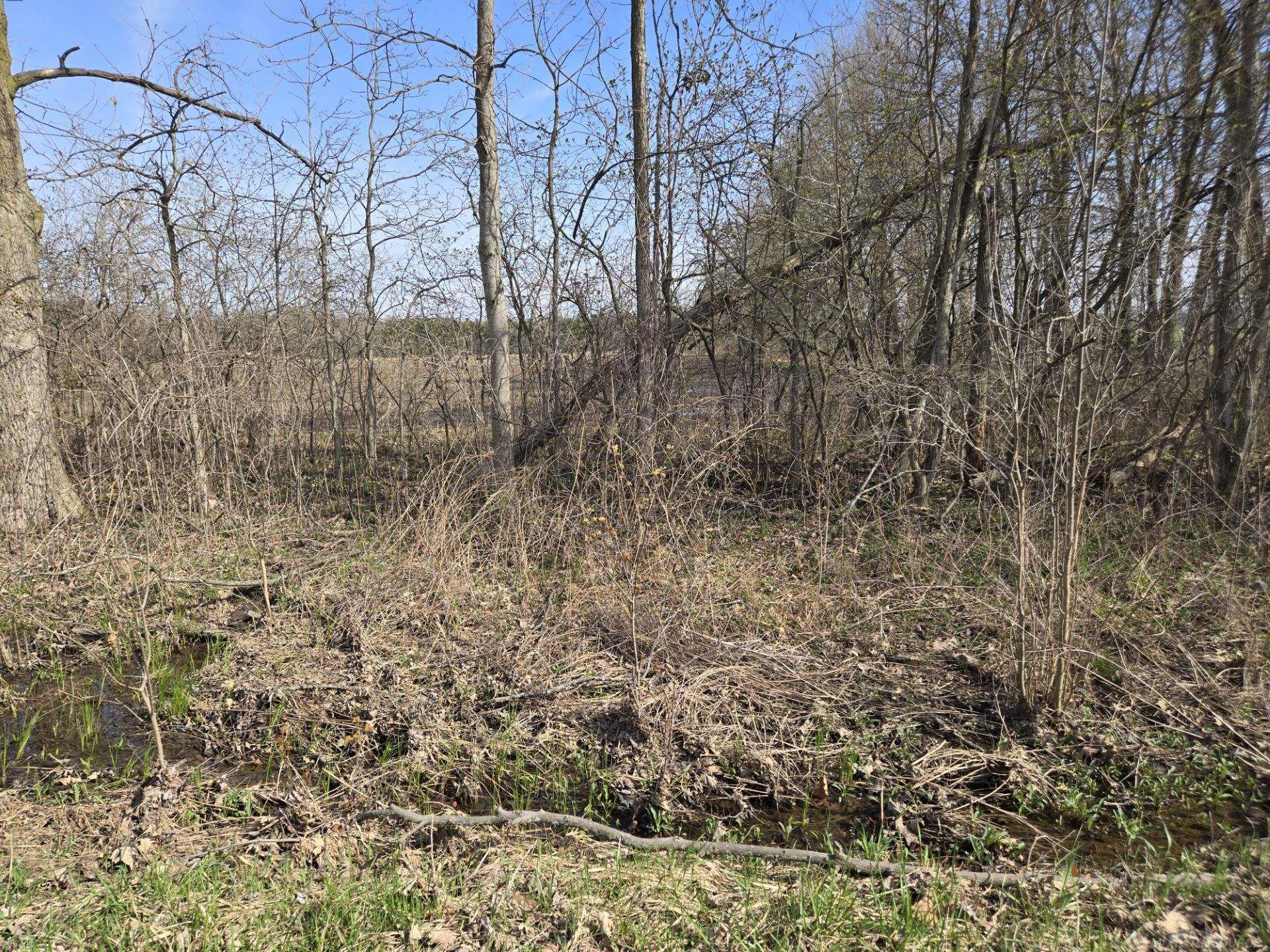 0 Weber (lot A) Road Property Photo 5
