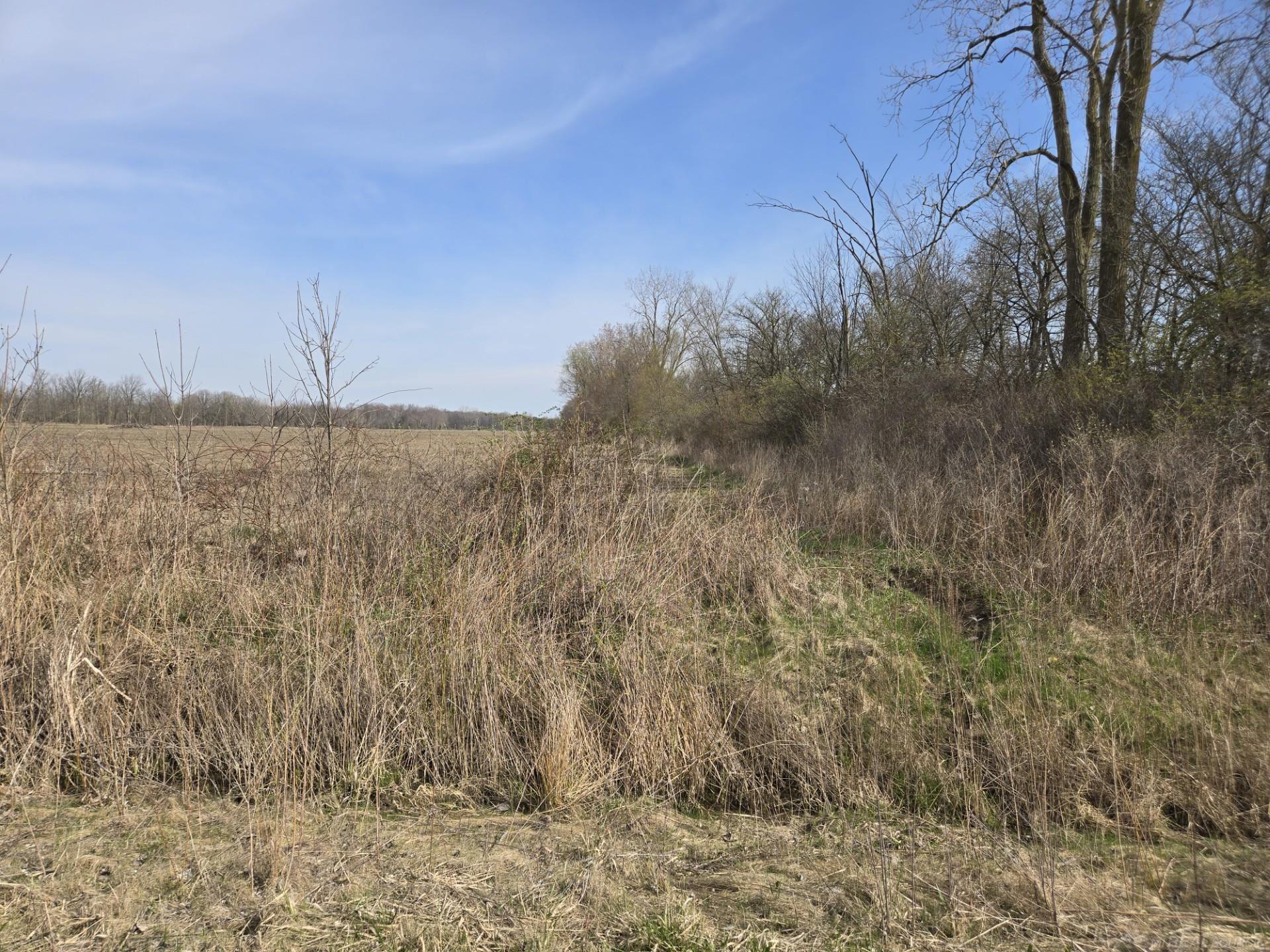 0 Weber (lot A) Road Property Photo 9
