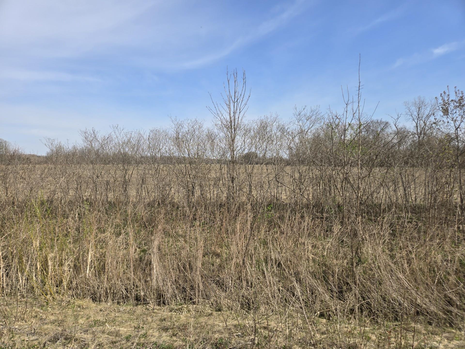 0 Weber (lot A) Road Property Photo 10