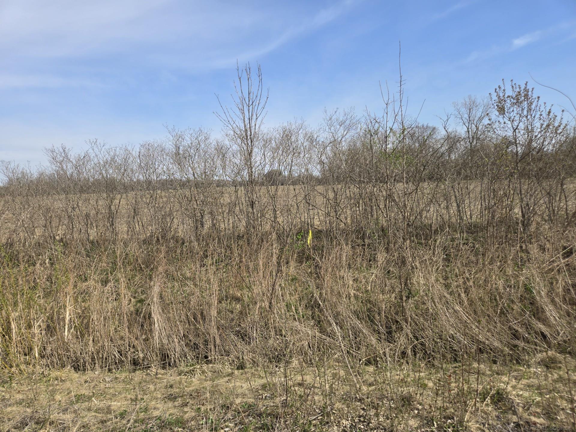 0 Weber (lot A) Road Property Photo 11