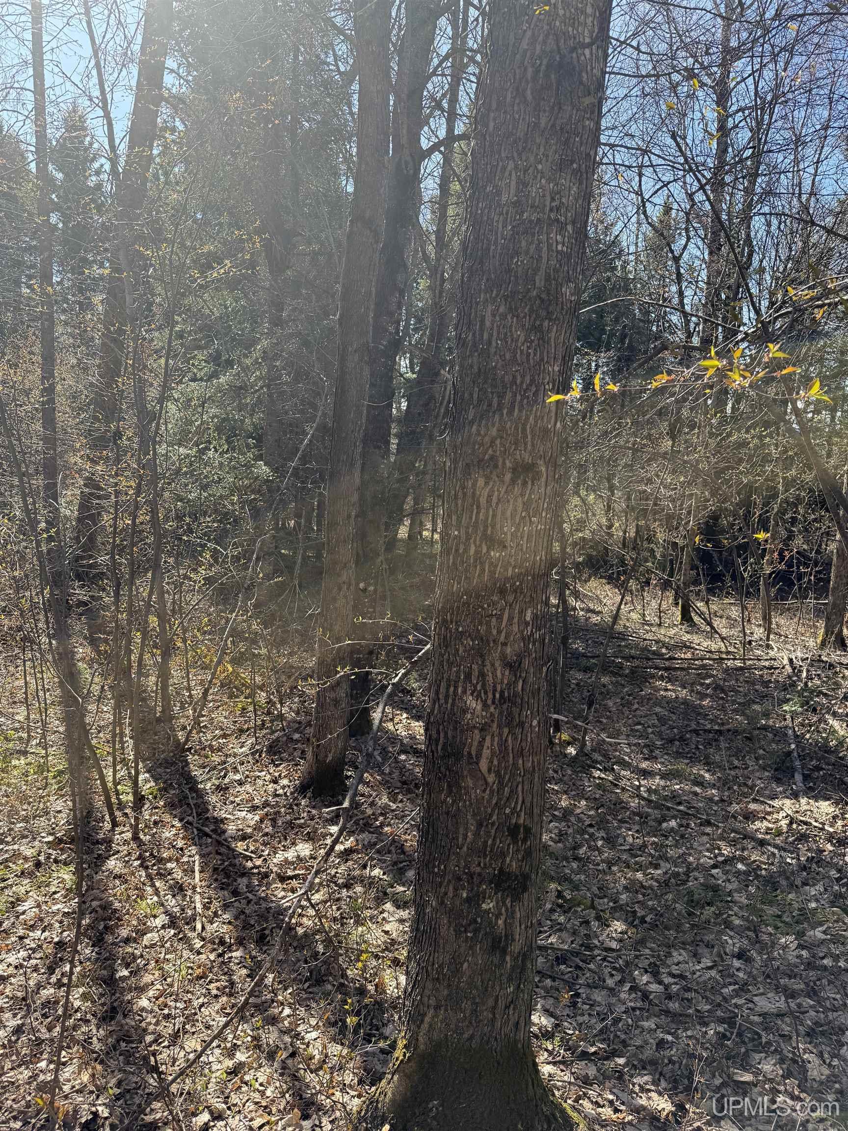 Tbd85 S Sidnaw Road Property Photo 1