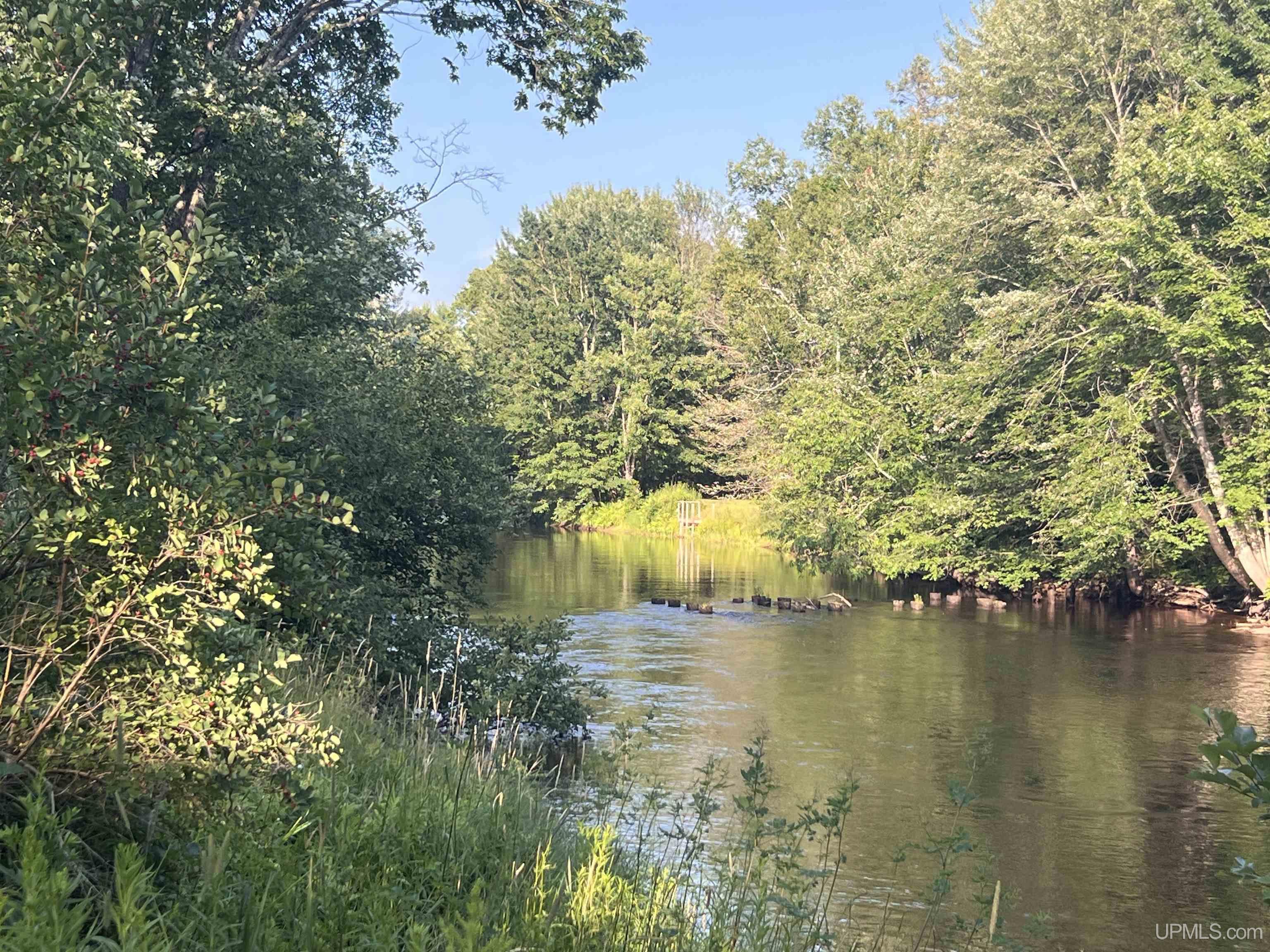 12.7 Ac M-77 Highway Property Photo 10