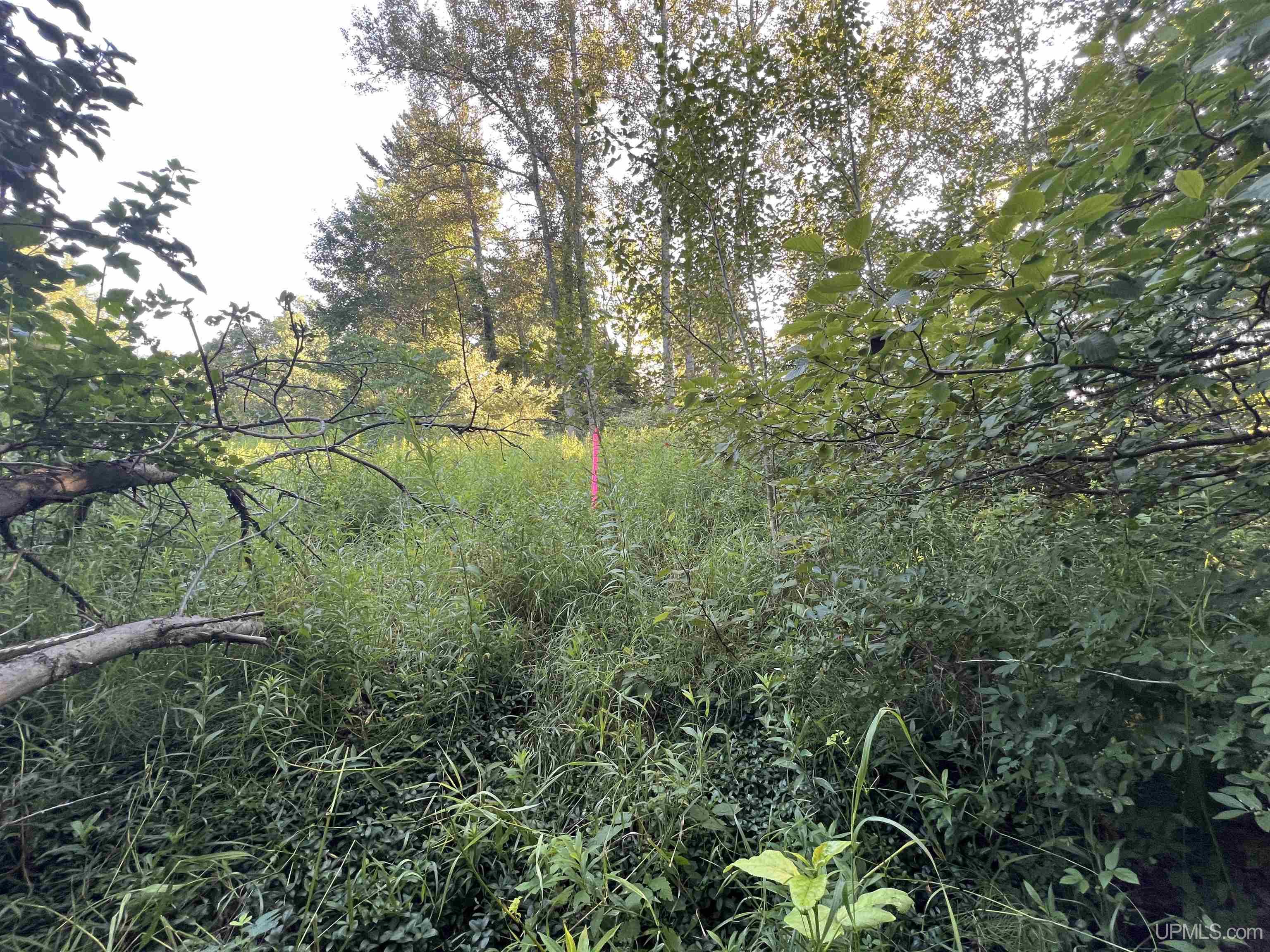 12.7 Ac M-77 Highway Property Photo 11