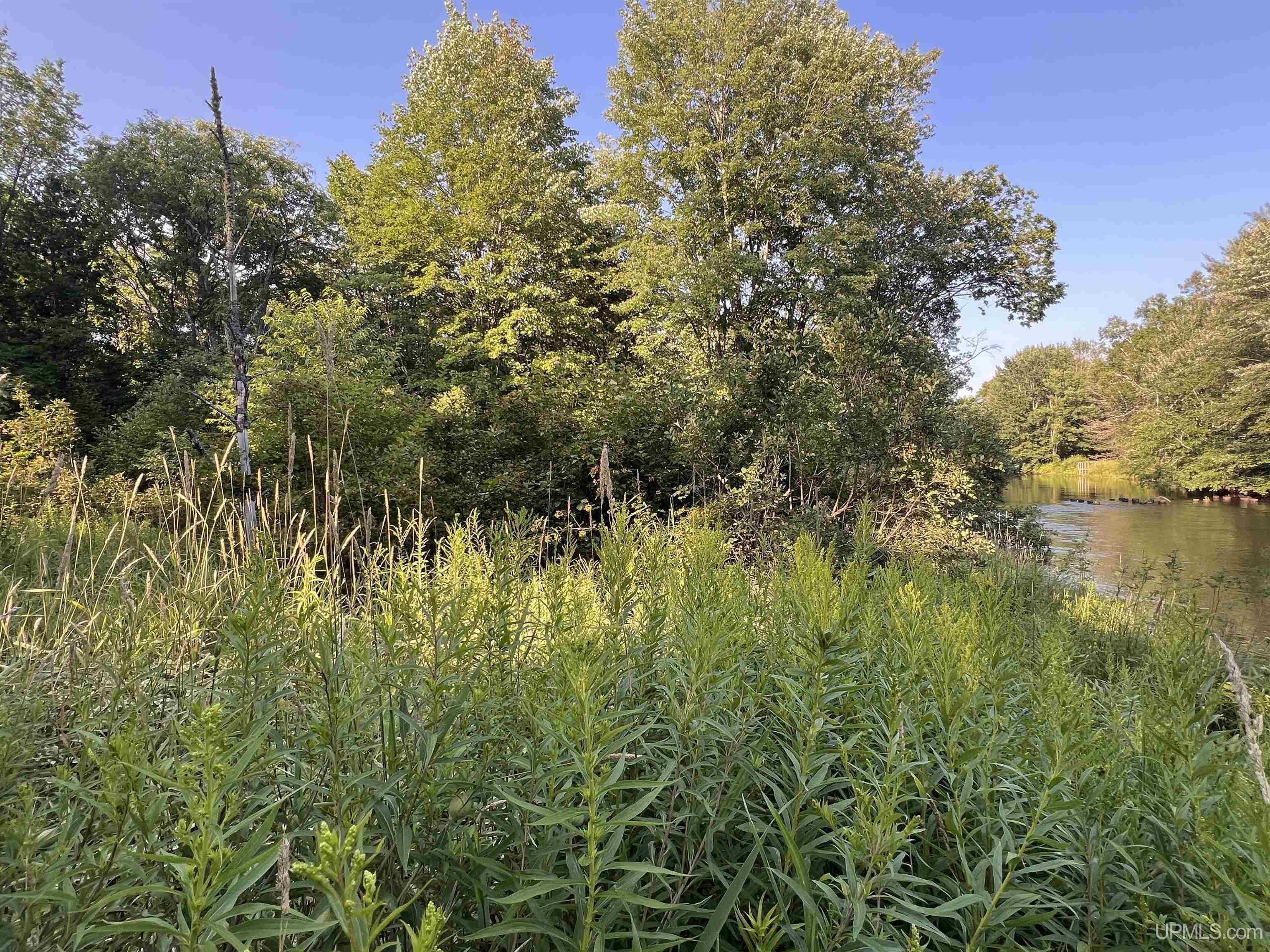 12.7 Ac M-77 Highway Property Photo 14