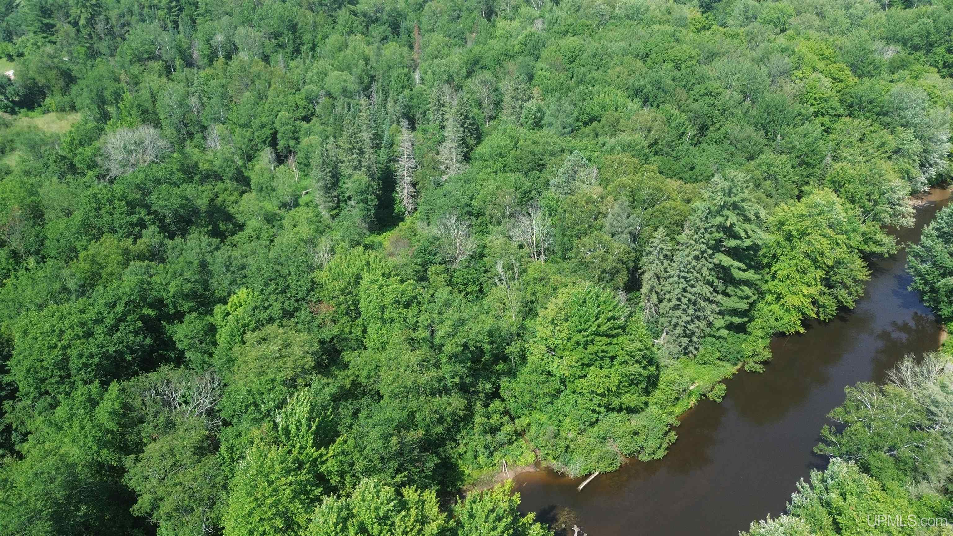 12.7 Ac M-77 Highway Property Photo 15