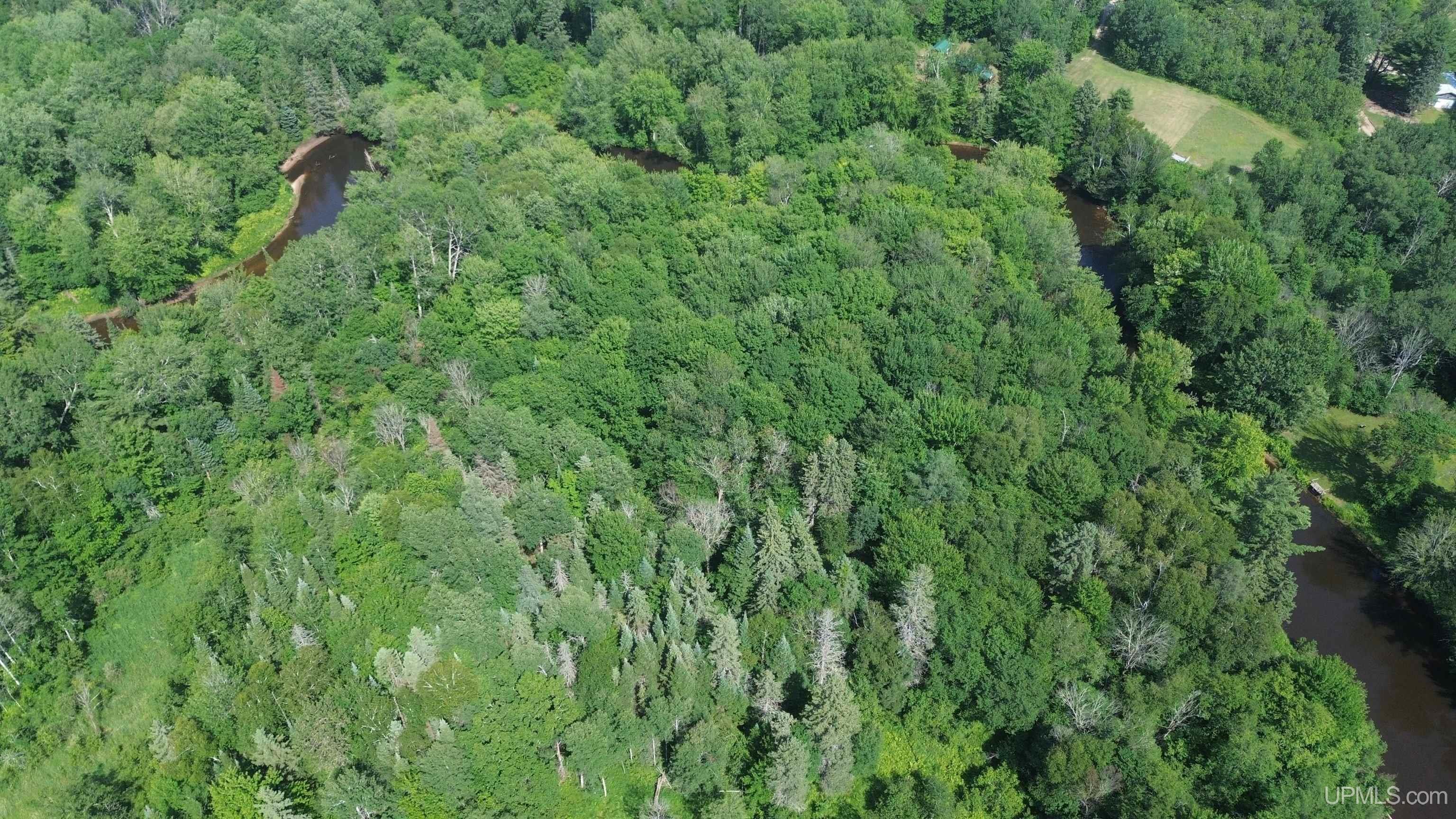 12.7 Ac M-77 Highway Property Photo 18