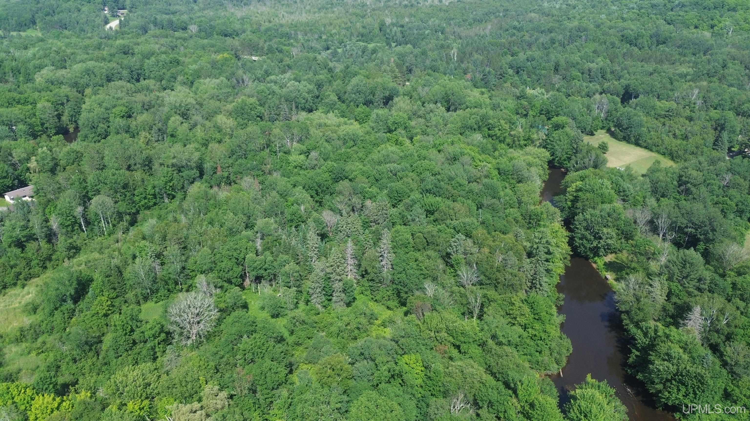 12.7 Ac M-77 Highway Property Photo 19
