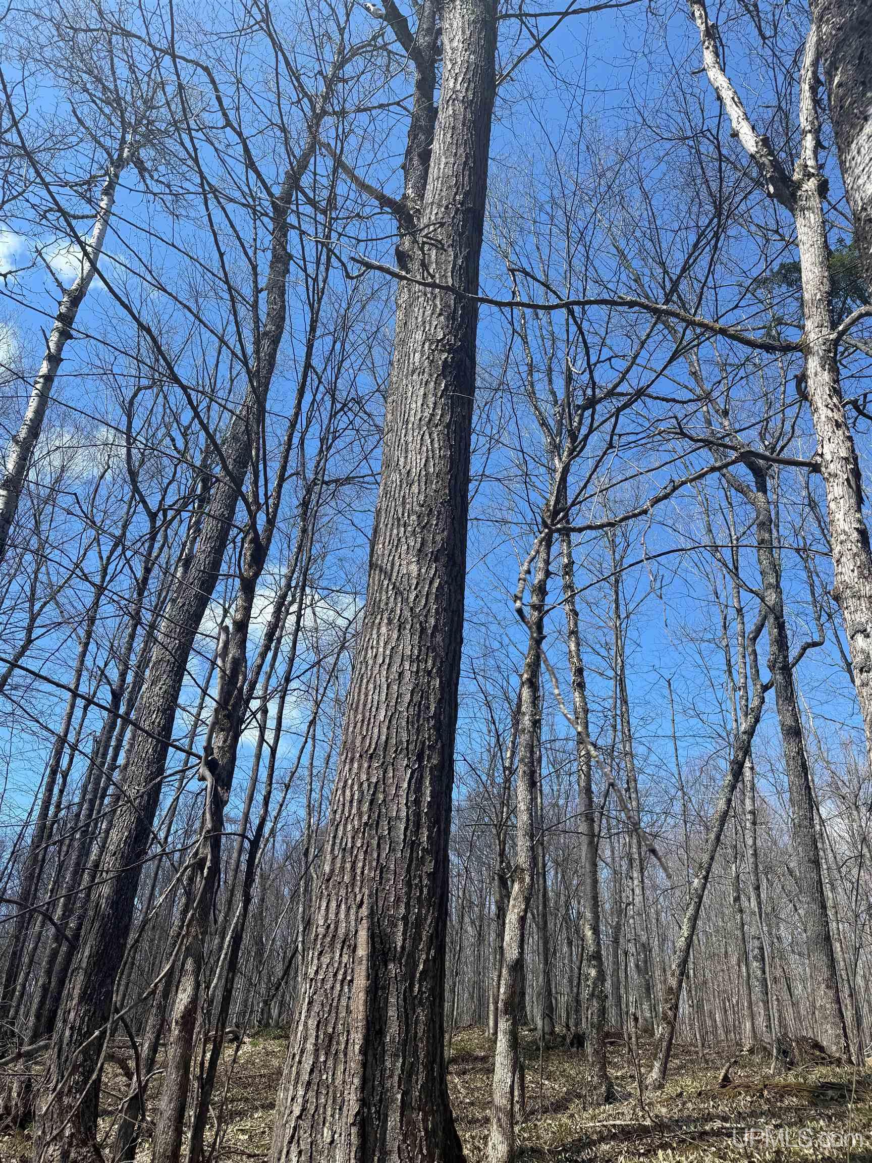 Tbd Victoria Dam Road Property Photo 1