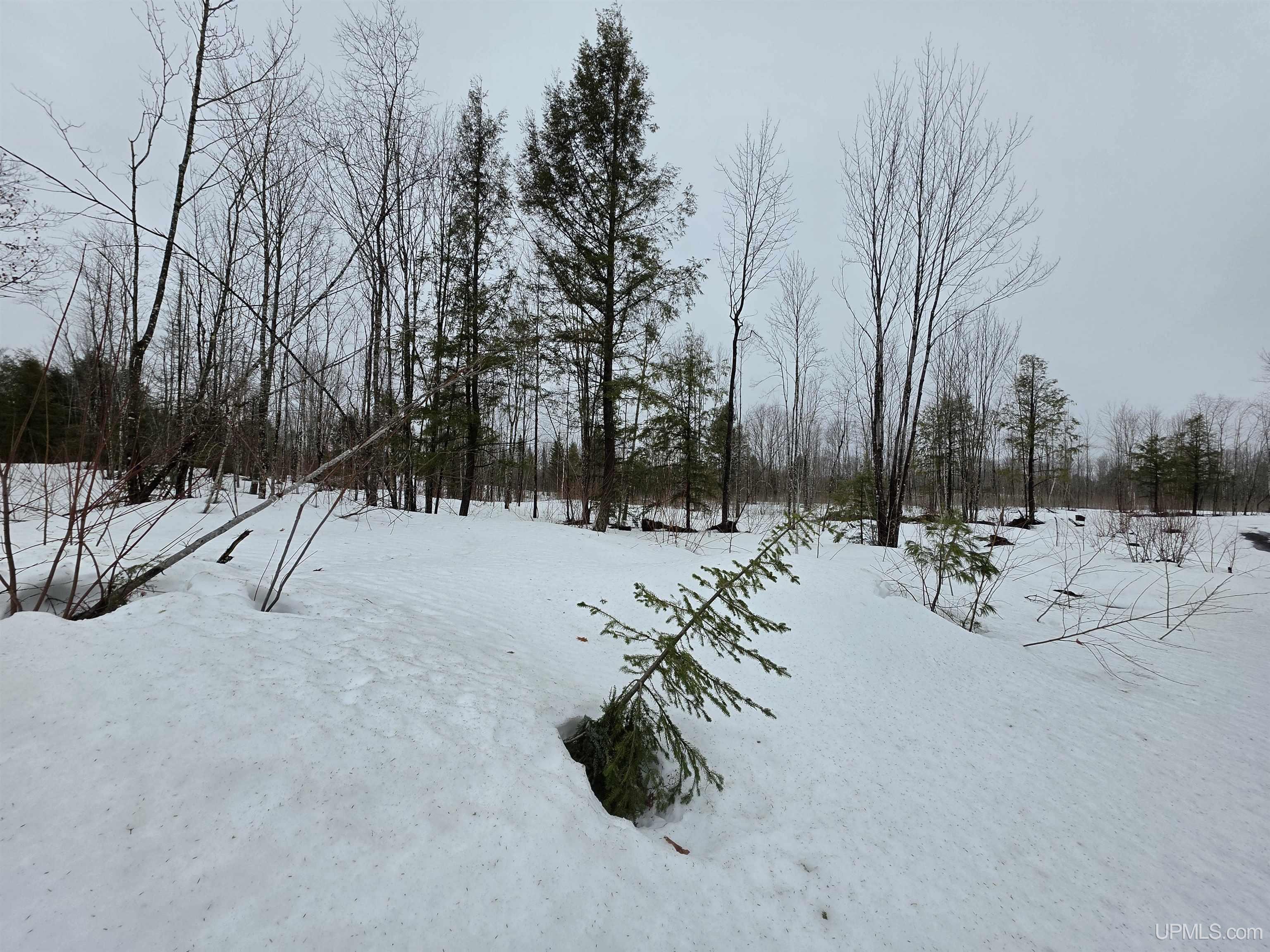 27184 Us Hwy 141 Highway Property Photo 6
