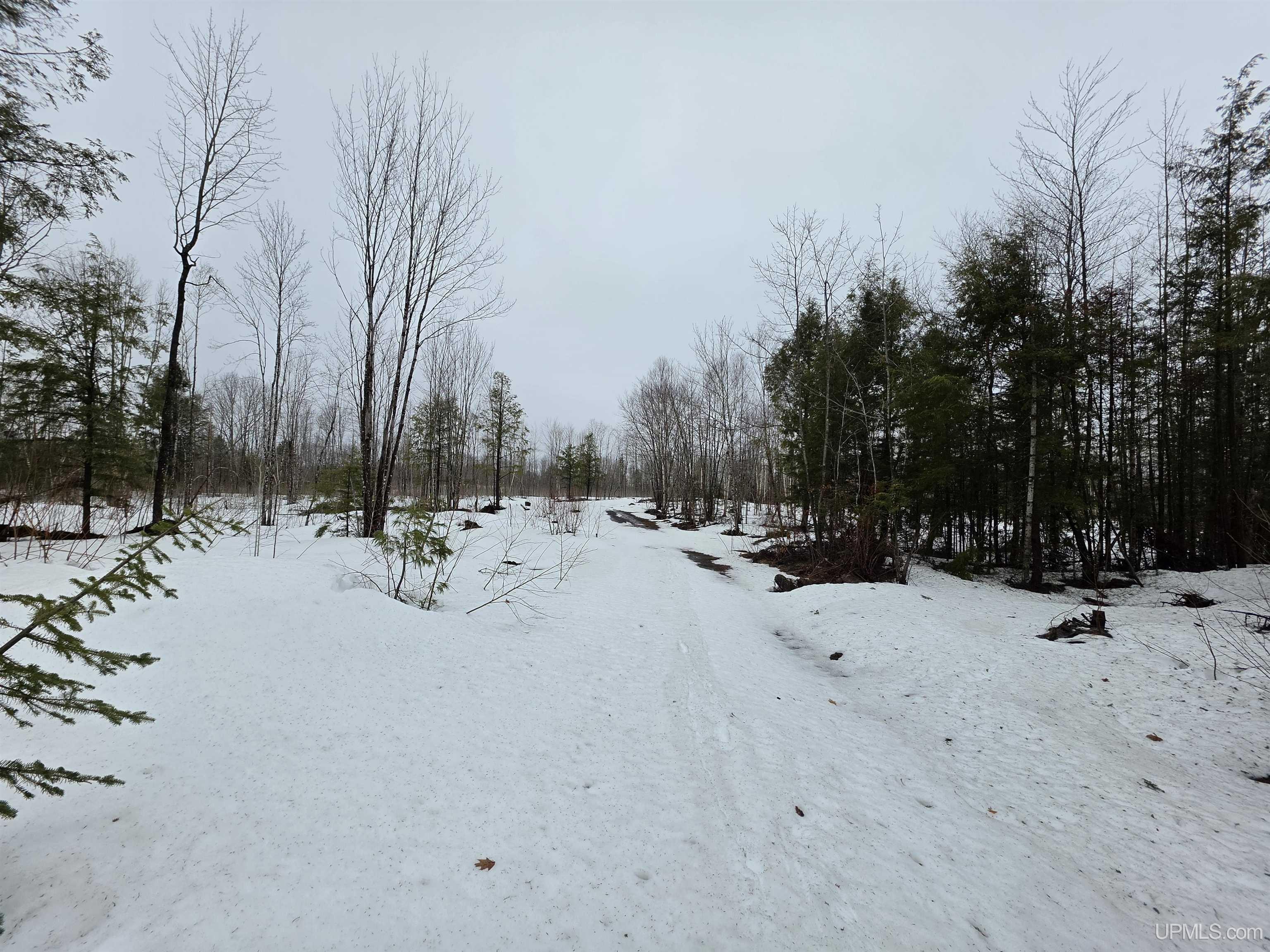 27184 Us Hwy 141 Highway Property Photo 7