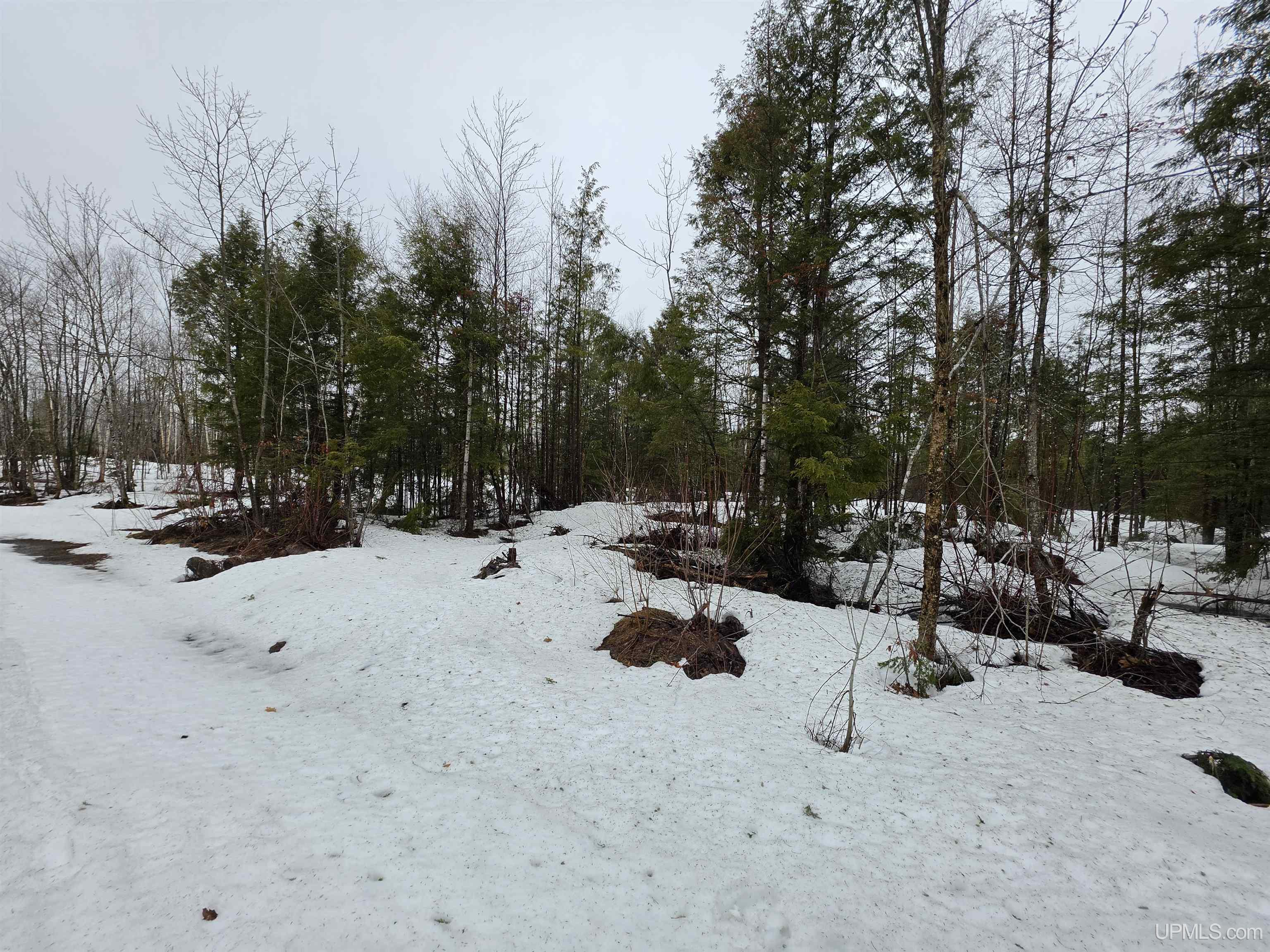 27184 Us Hwy 141 Highway Property Photo 8