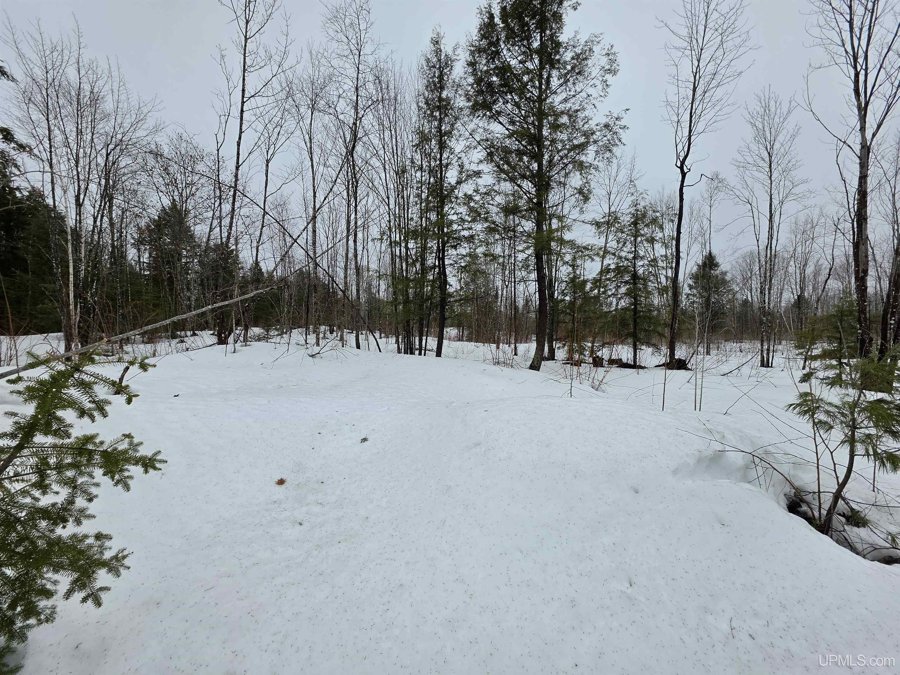 27184 Us Hwy 141 Highway Property Photo 9