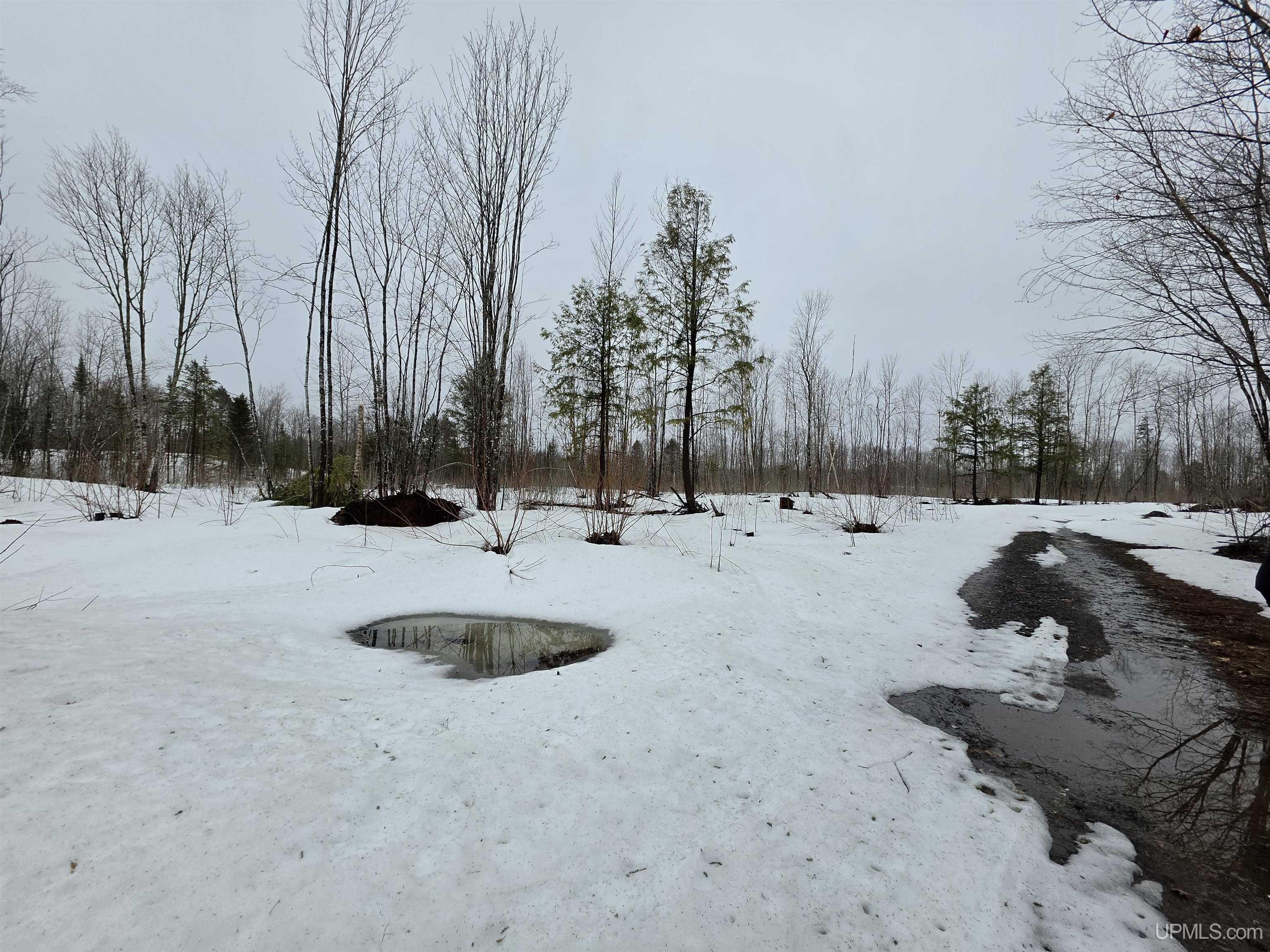 27184 Us Hwy 141 Highway Property Photo 11
