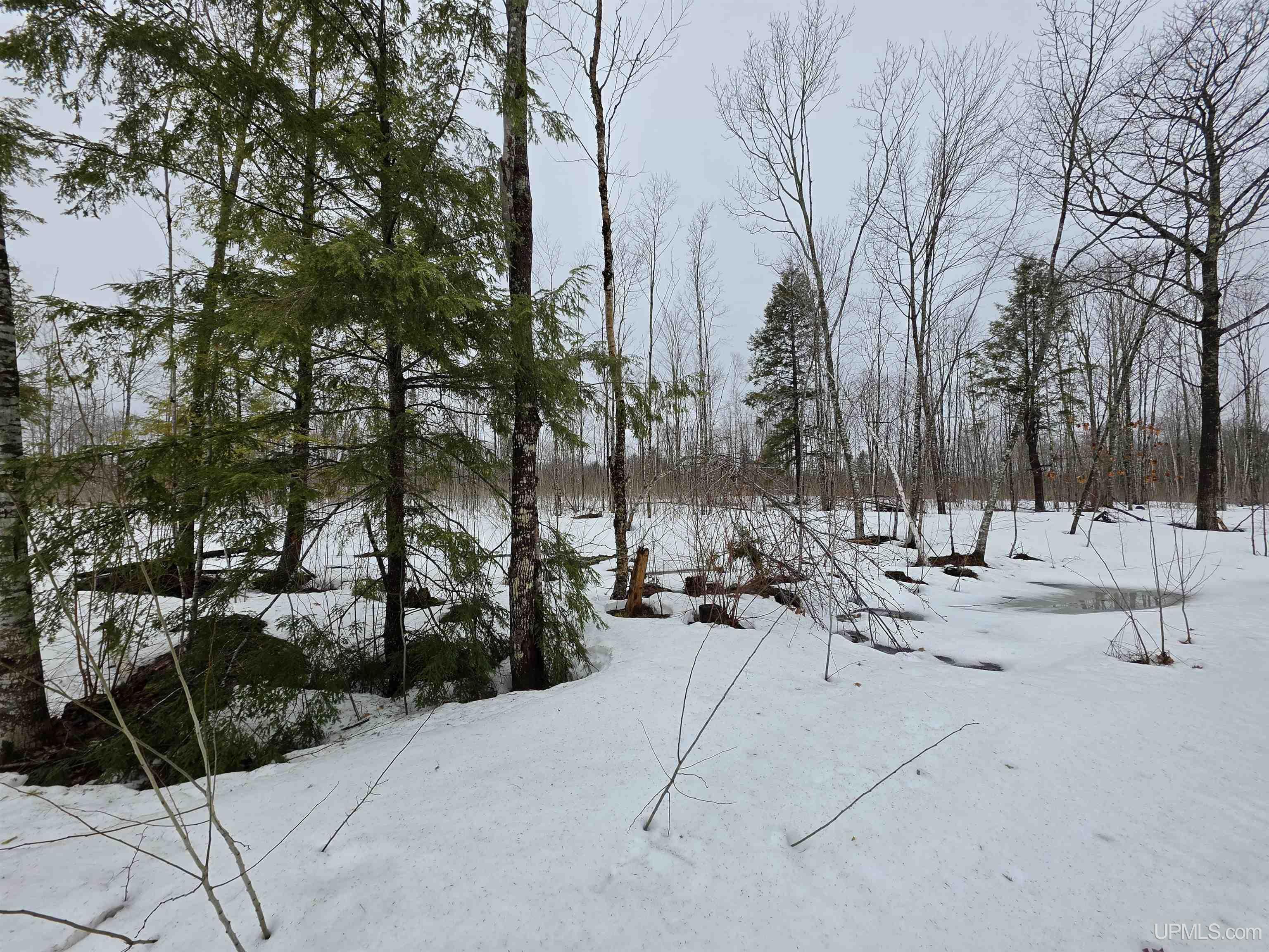 27184 Us Hwy 141 Highway Property Photo 12