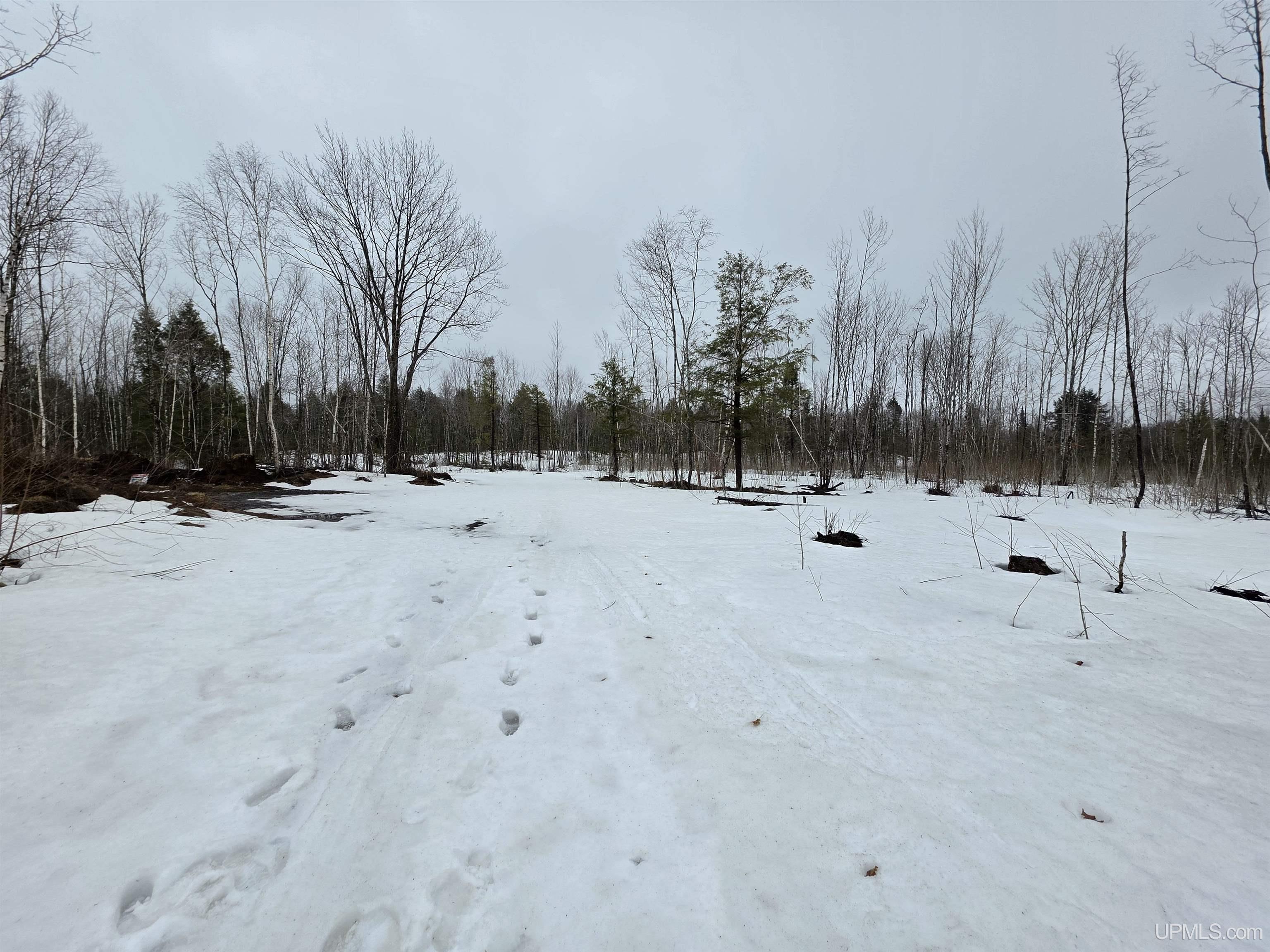 27184 Us Hwy 141 Highway Property Photo 16