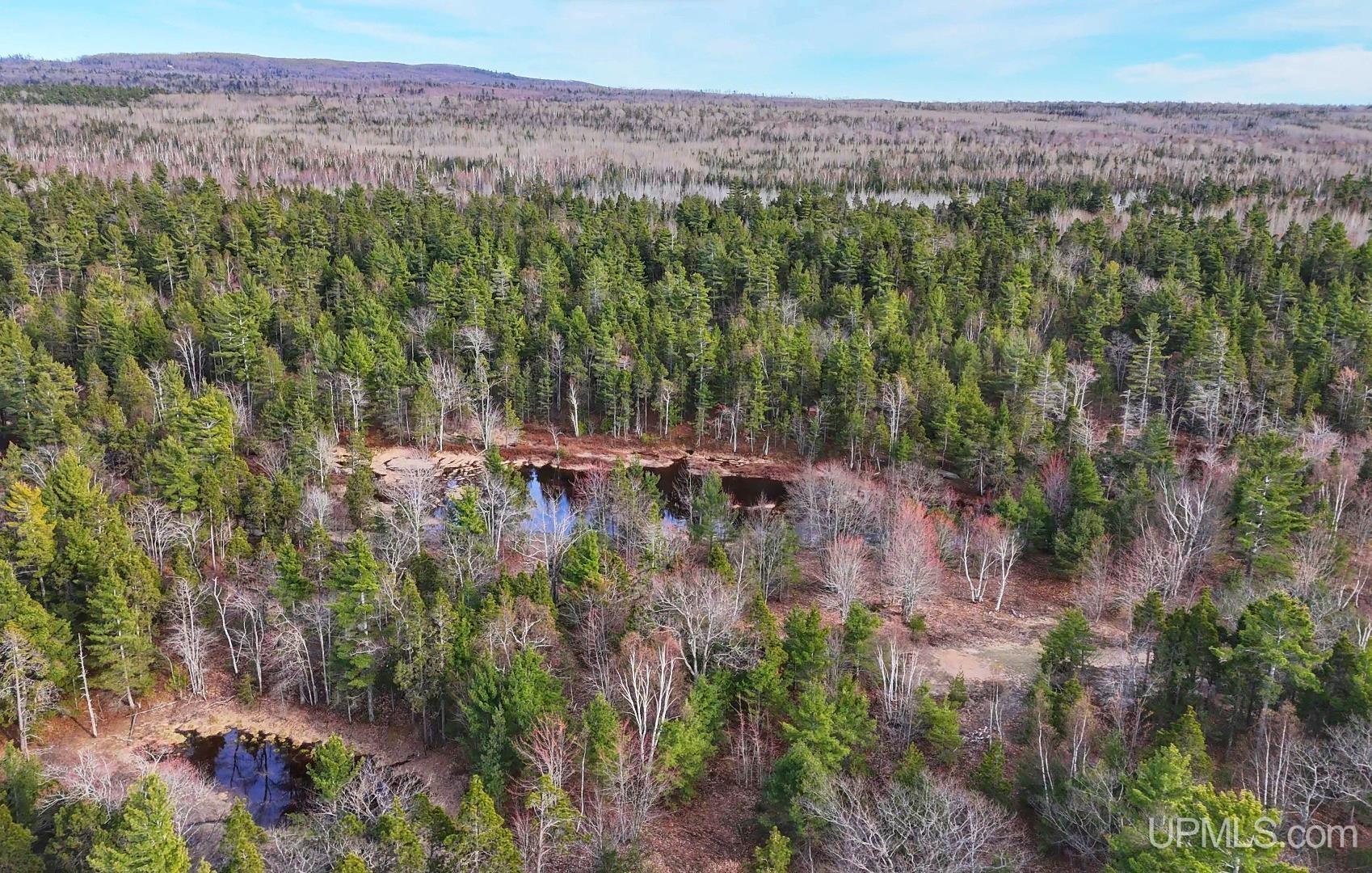 5877 Five Mile Point Road Property Photo 6