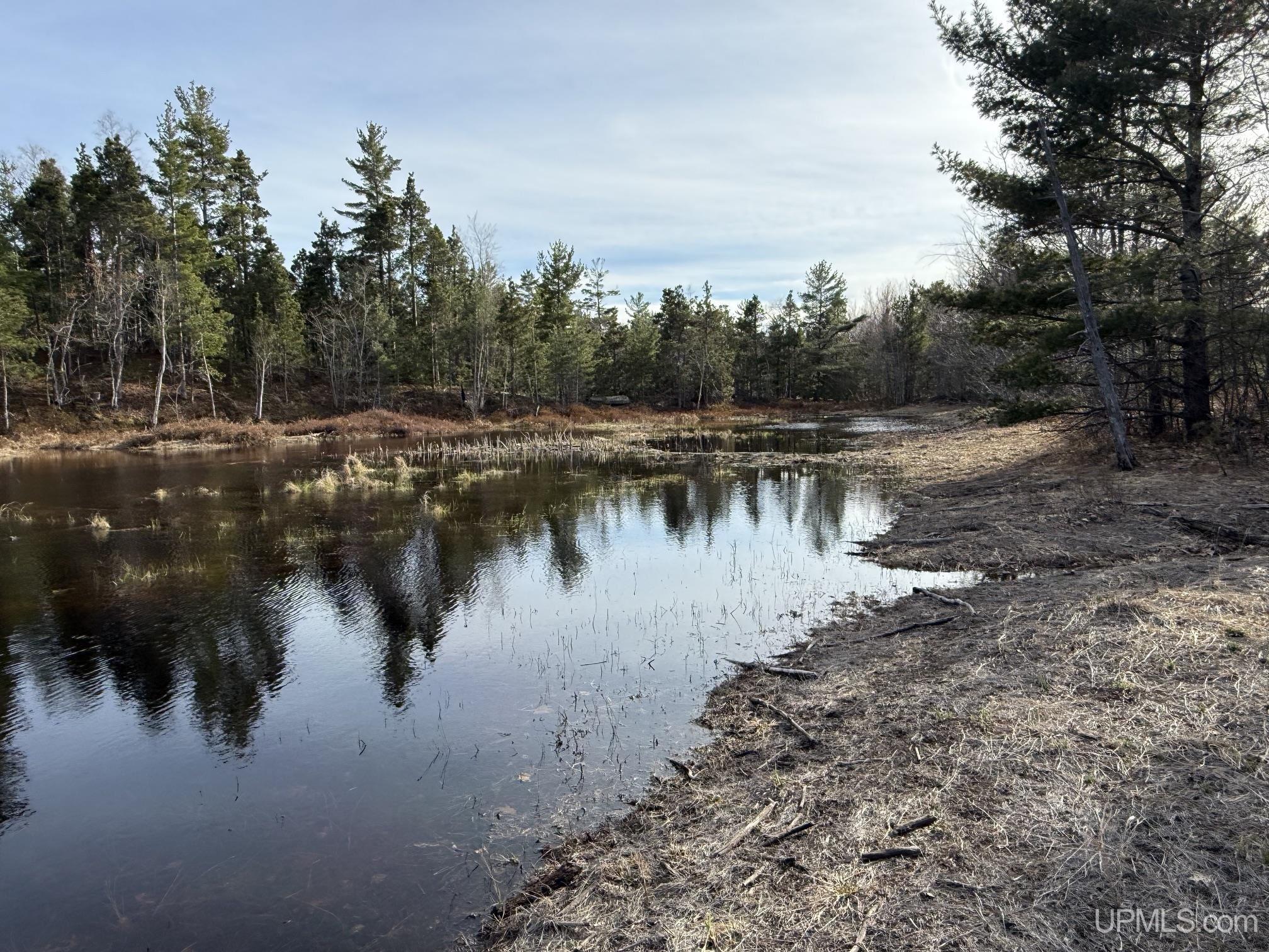 5877 Five Mile Point Road Property Photo 45