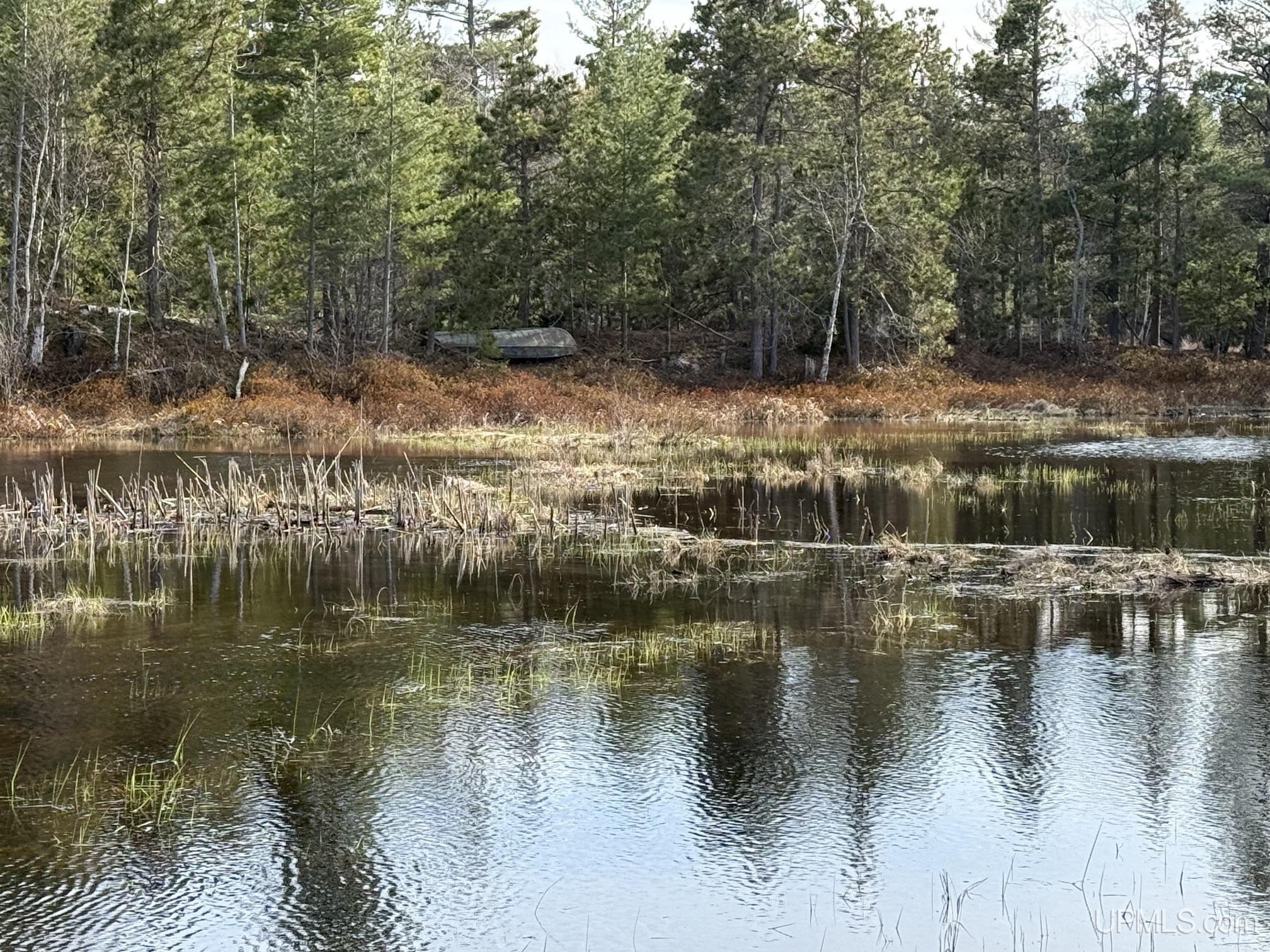 5877 Five Mile Point Road Property Photo 46