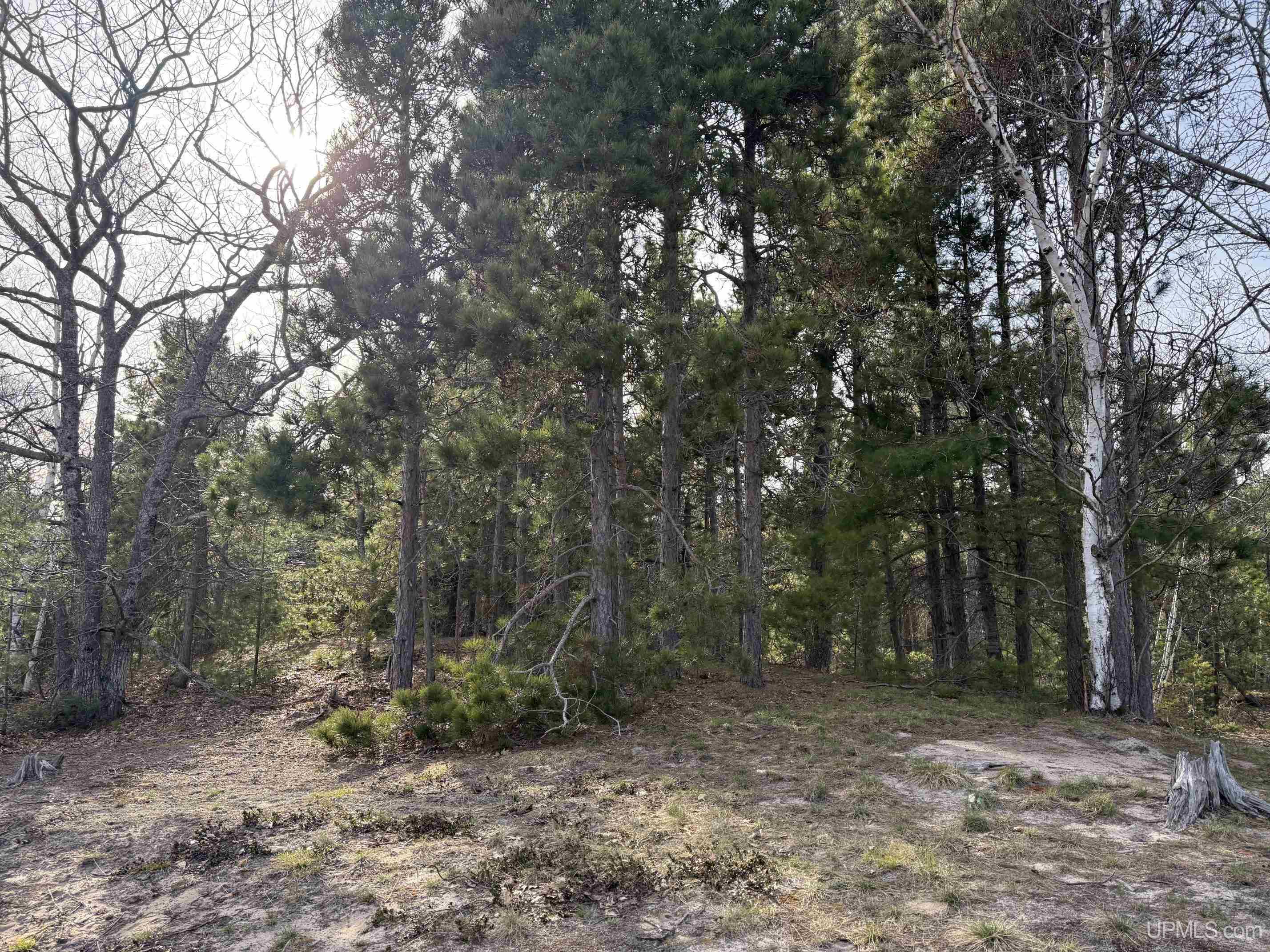 5877 Five Mile Point Road Property Photo 49