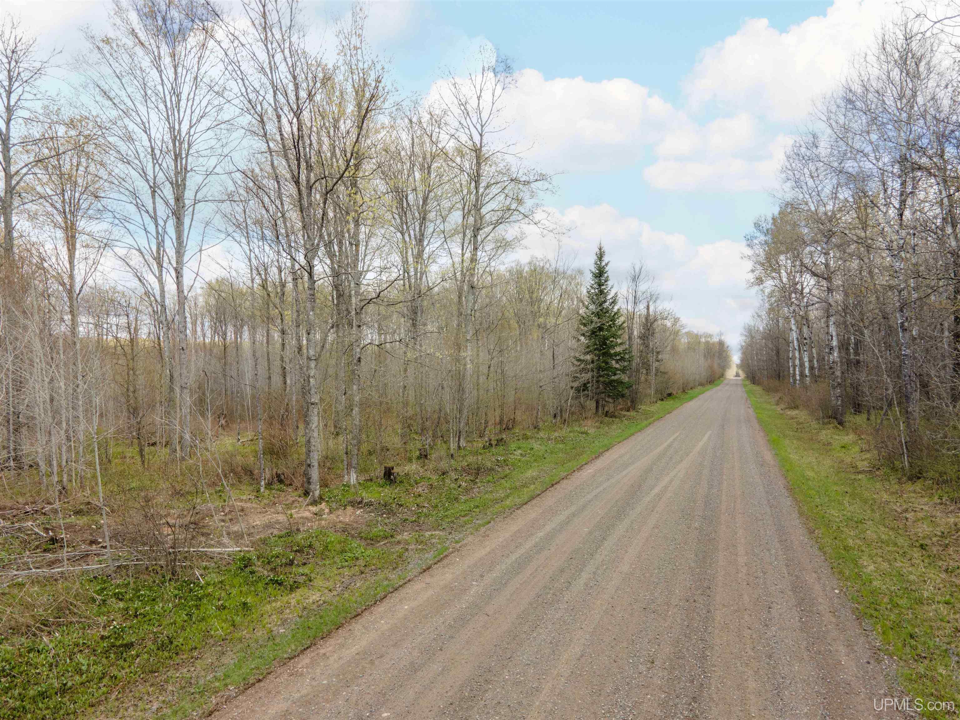 10433 Lot 2 Easement Road Property Photo 1