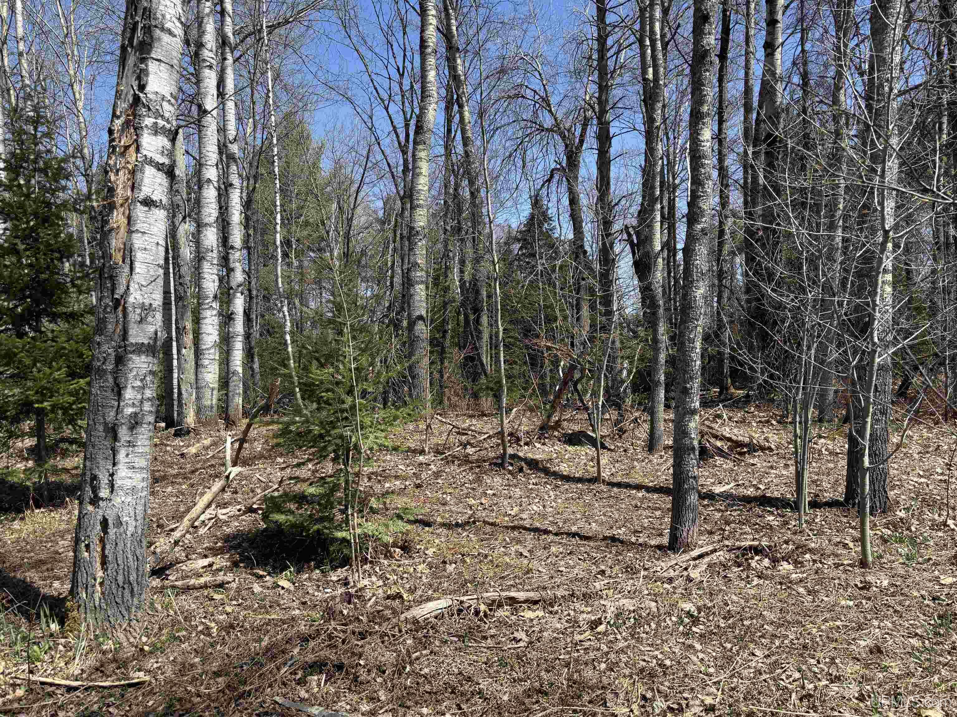 Tbd County Road 581 Road Property Photo 3