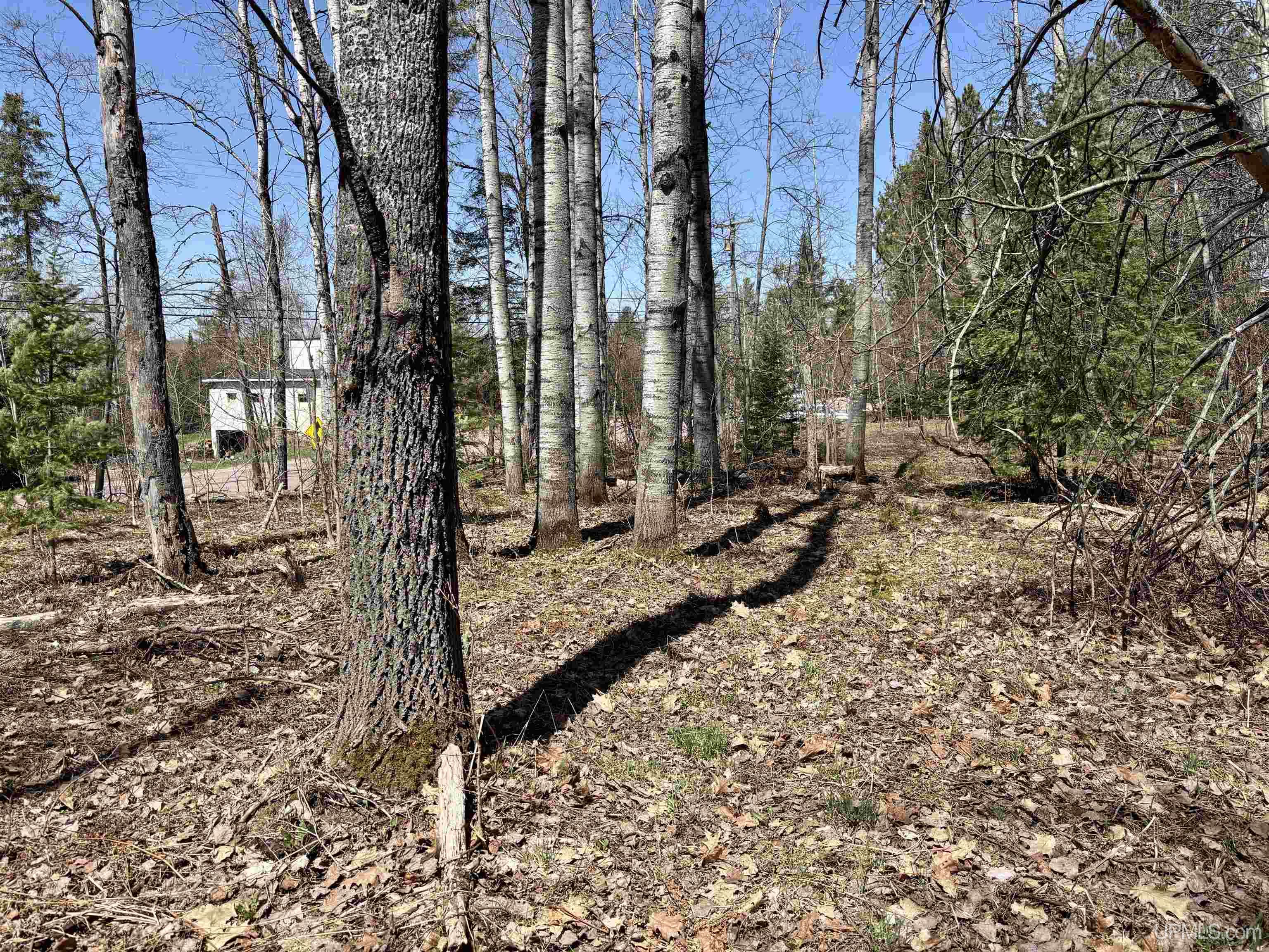 Tbd County Road 581 Road Property Photo 5