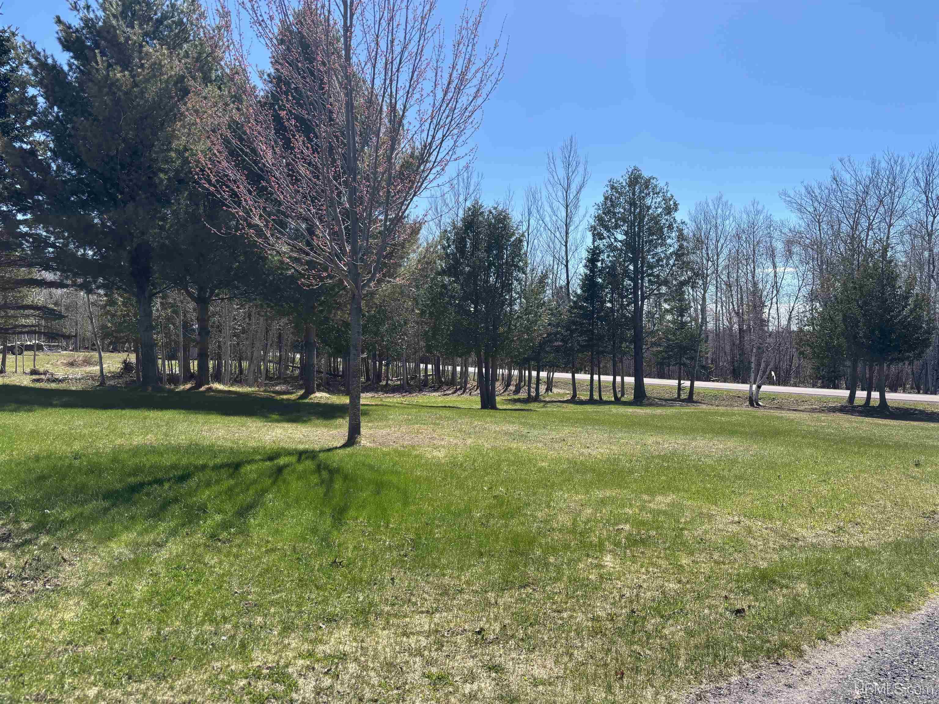 56230 Bear Lake Road Property Photo 4